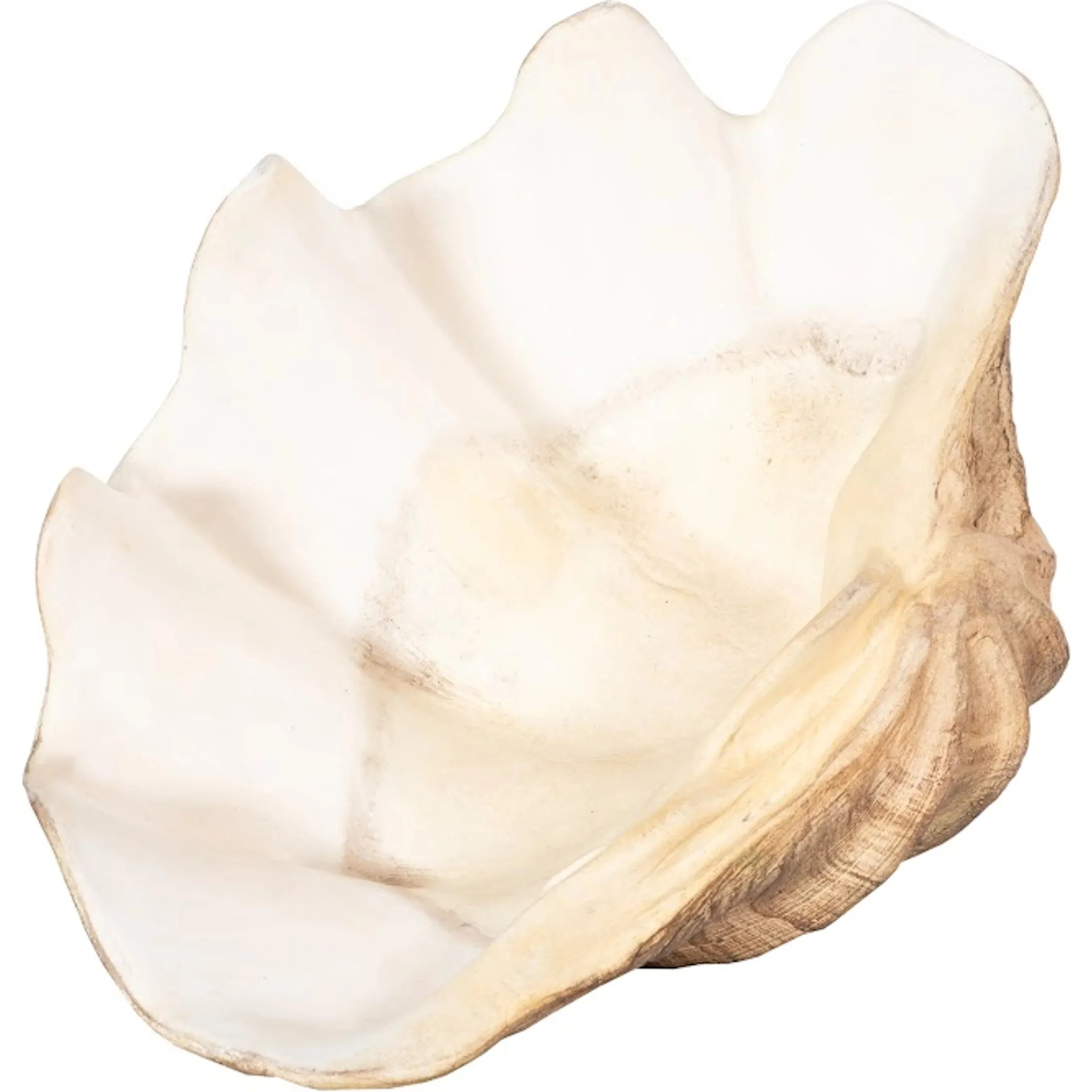 Cast Clam Shell Bowl Faux - Image 3