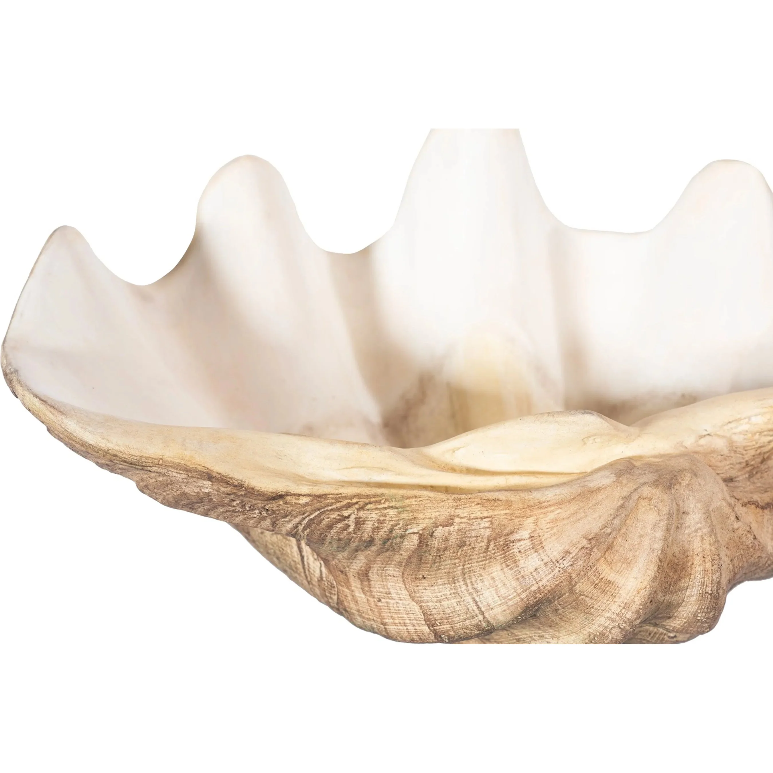 Cast Clam Shell Bowl Faux - Image 5