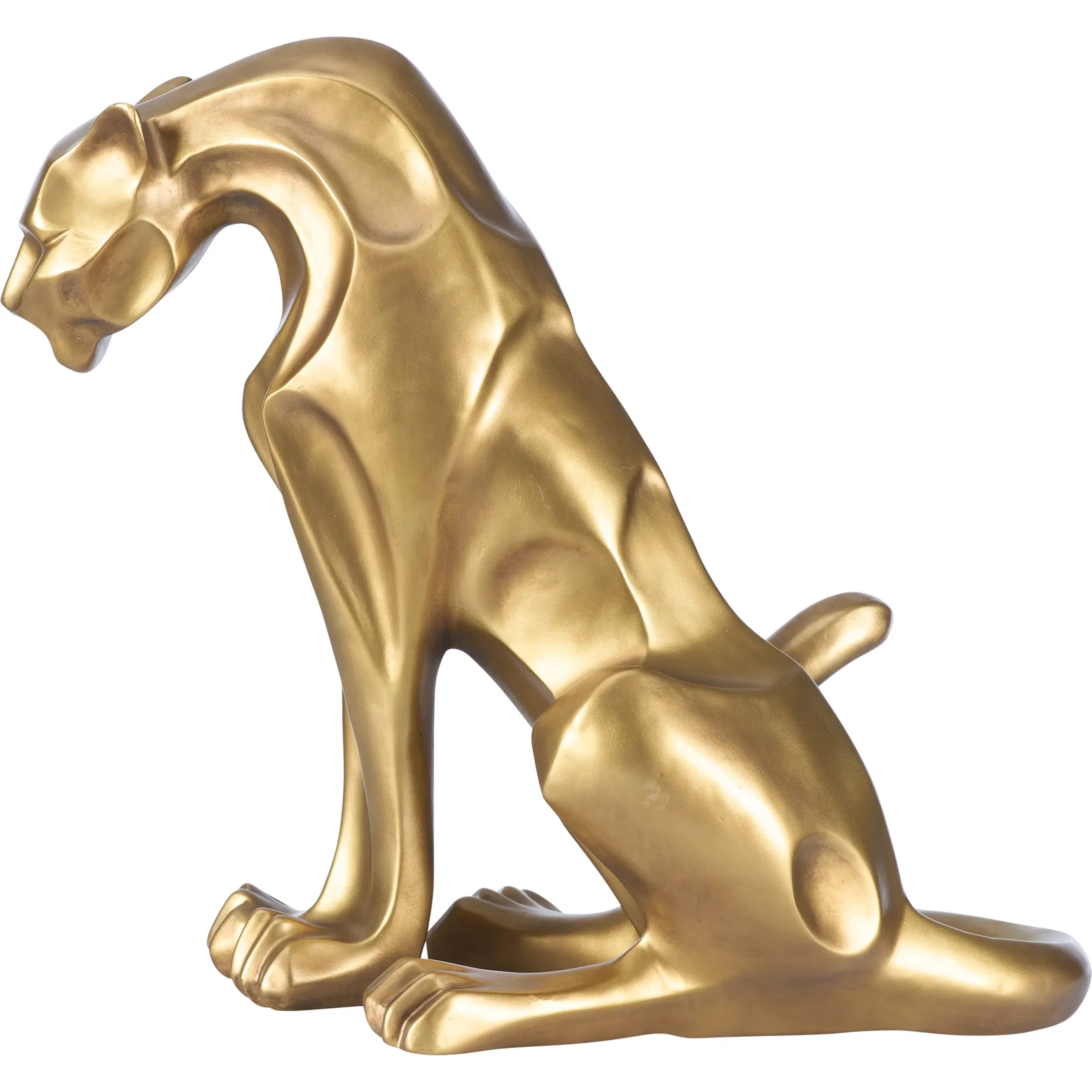 Cat - Image 5