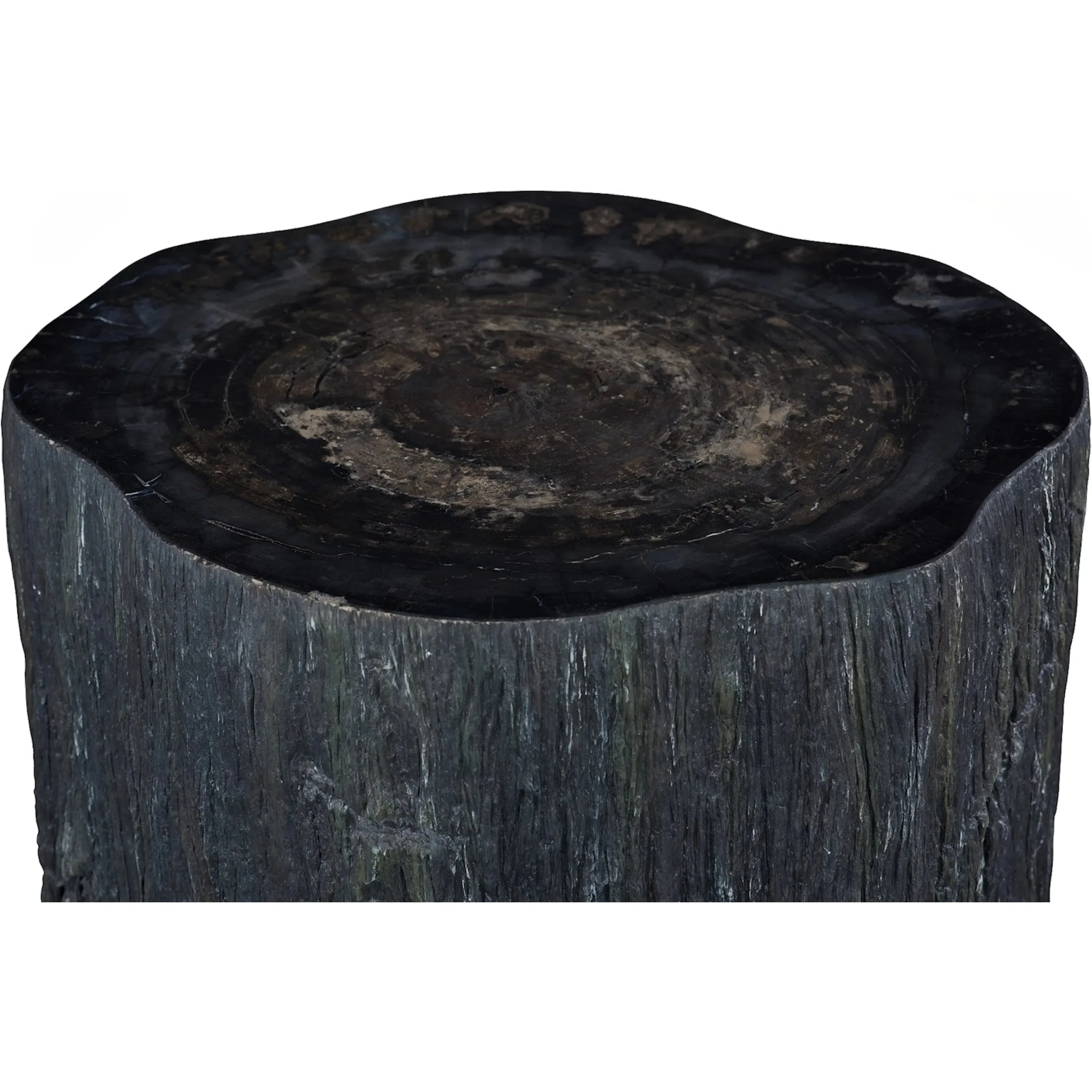 Chaka Petrified Coffee Table - Image 7