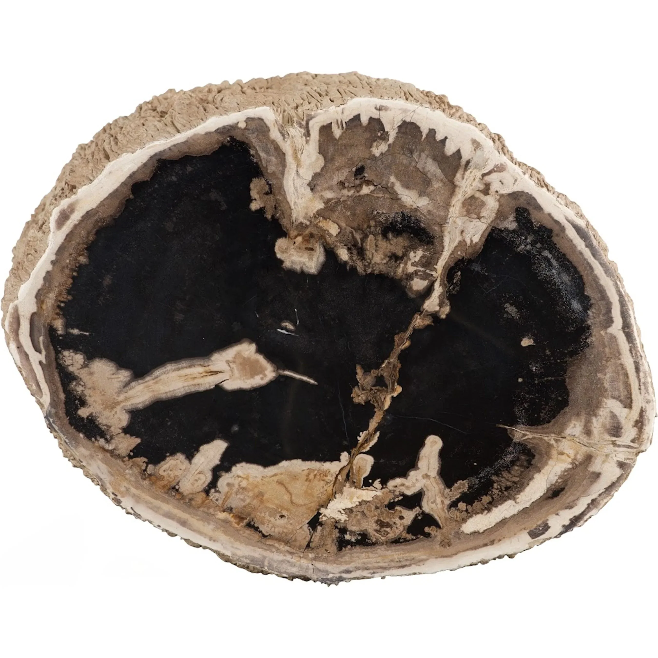Chaka Petrified Stool - Image 2