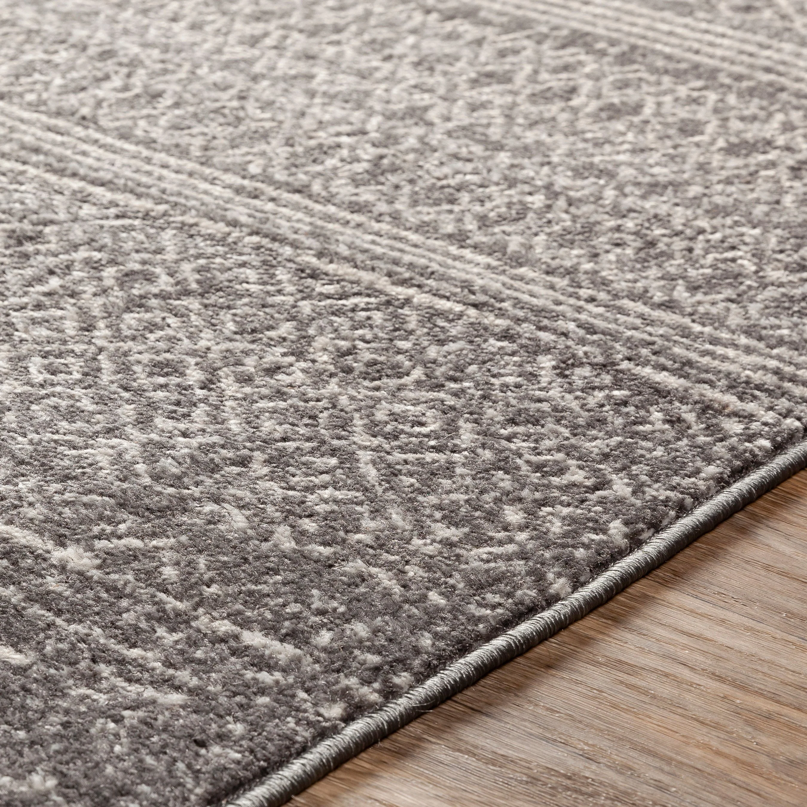 Chester Transitional Rug - Image 3