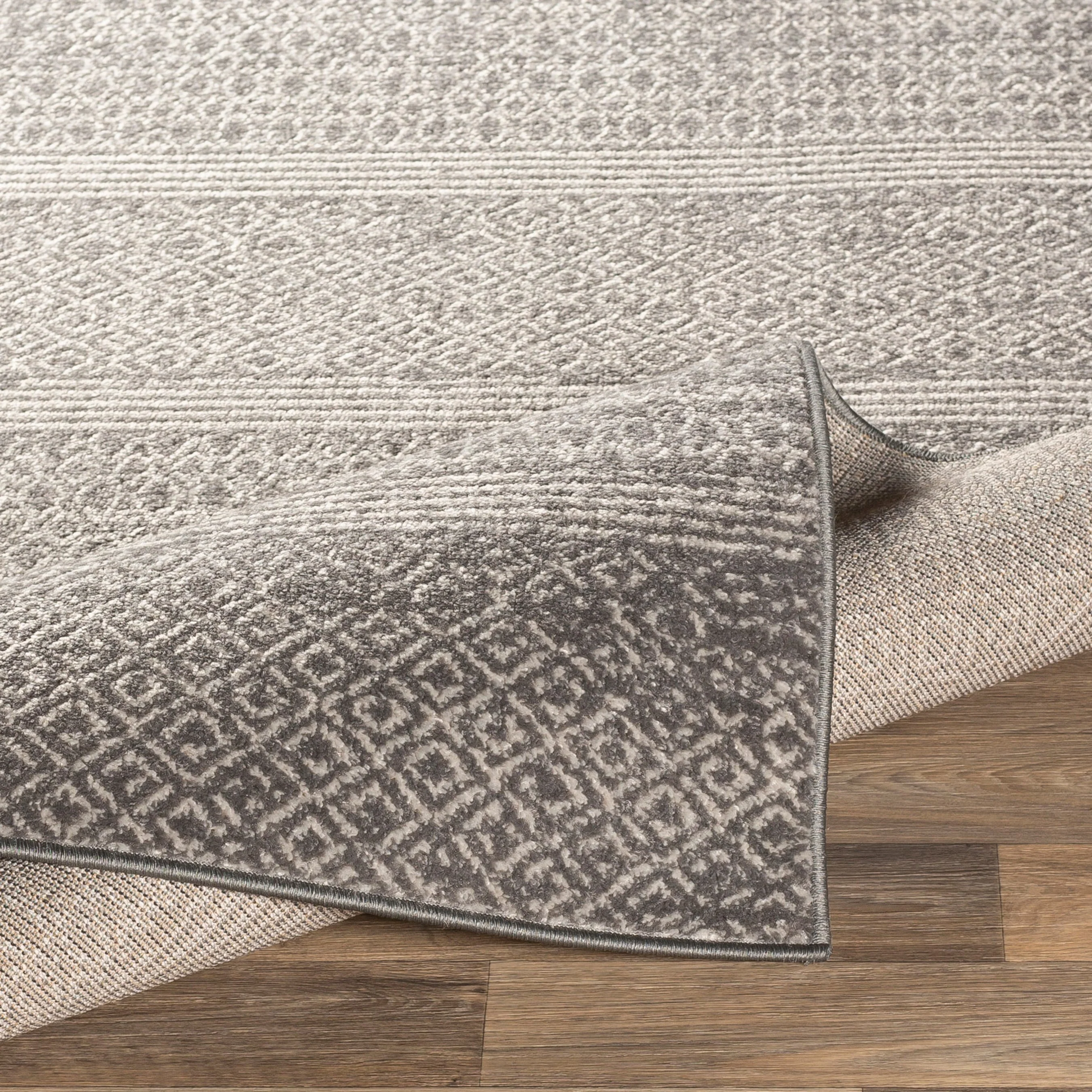 Chester Transitional Rug - Image 5