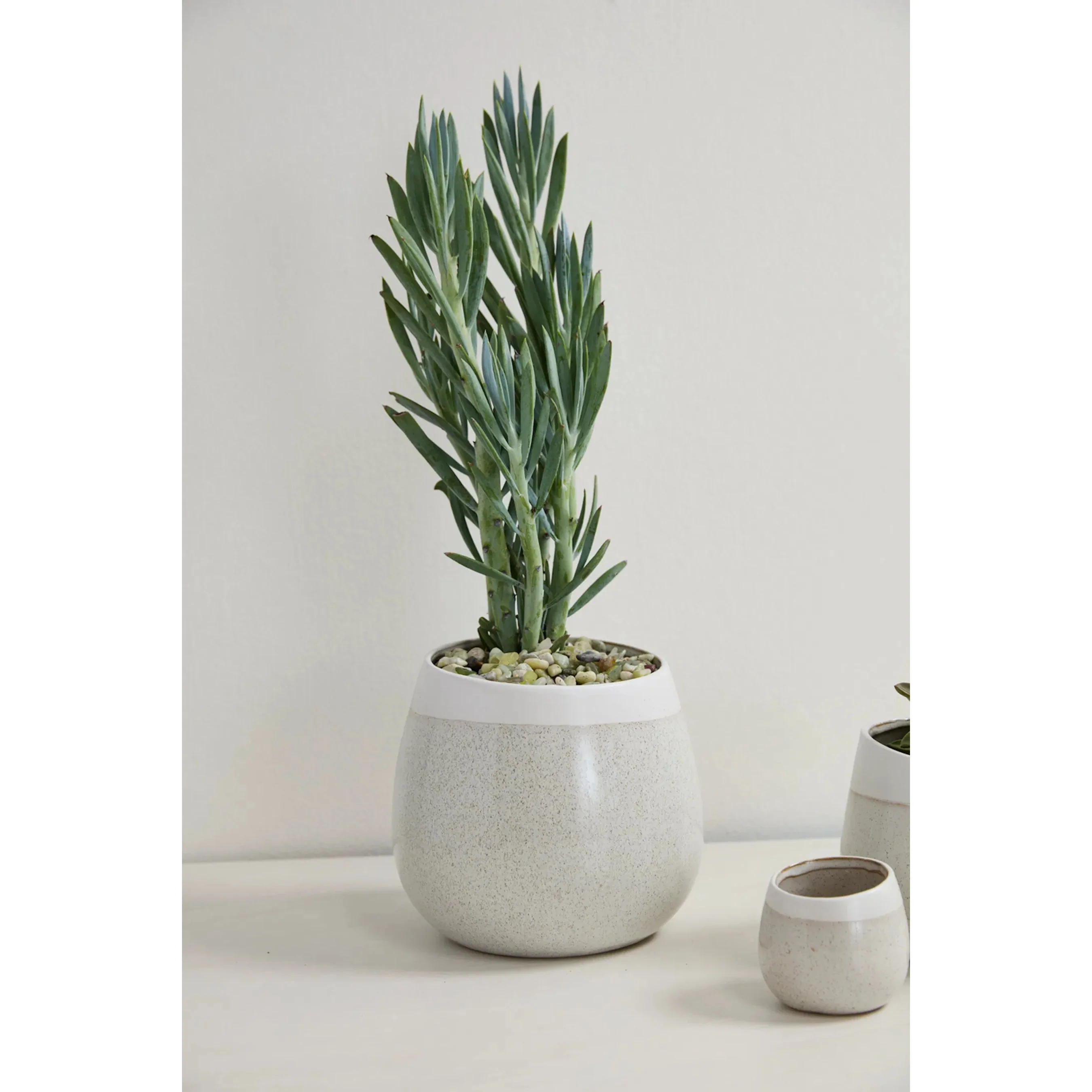Choice Pot - Image 2