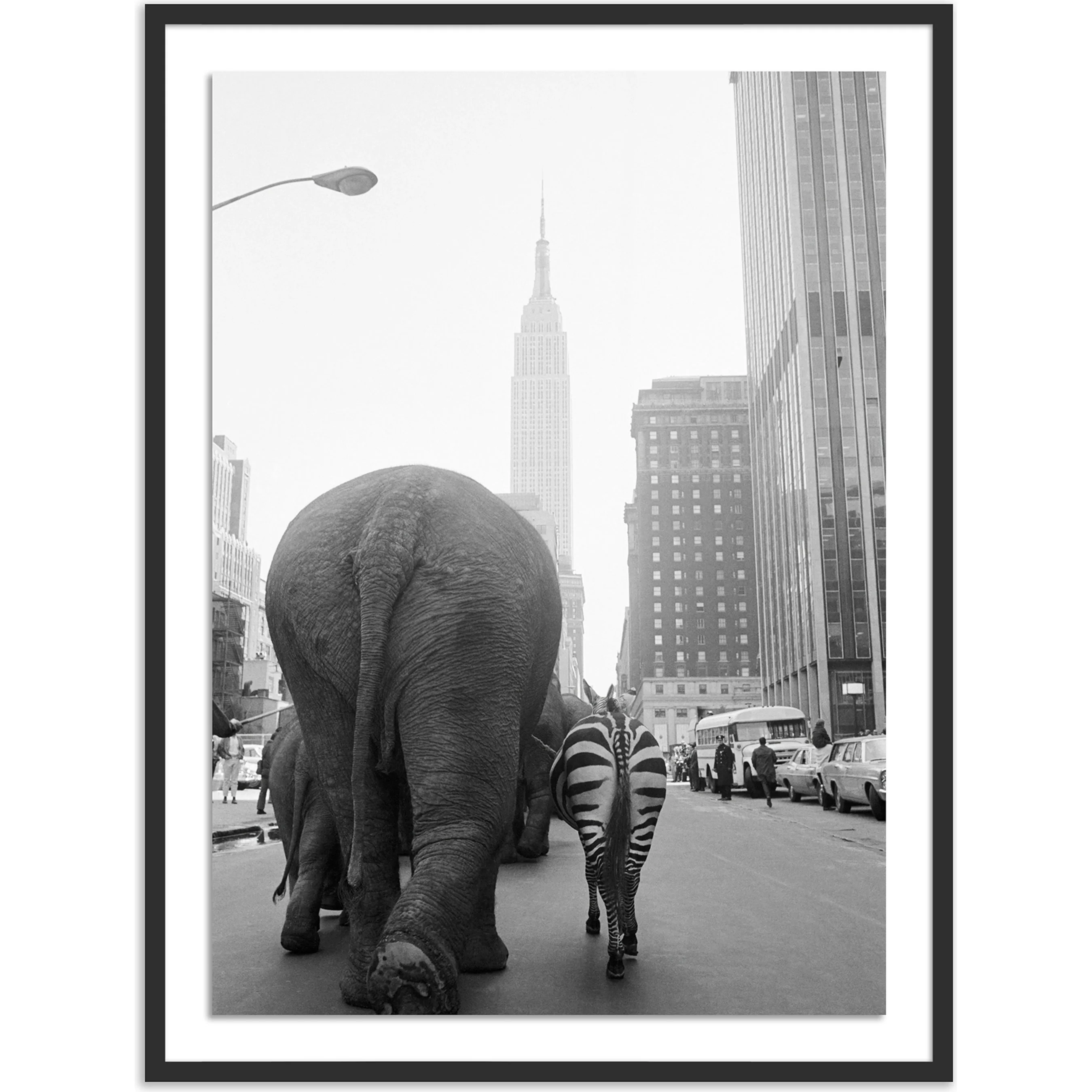 Circus Animals on 33RD St by Getty Images - Image 10