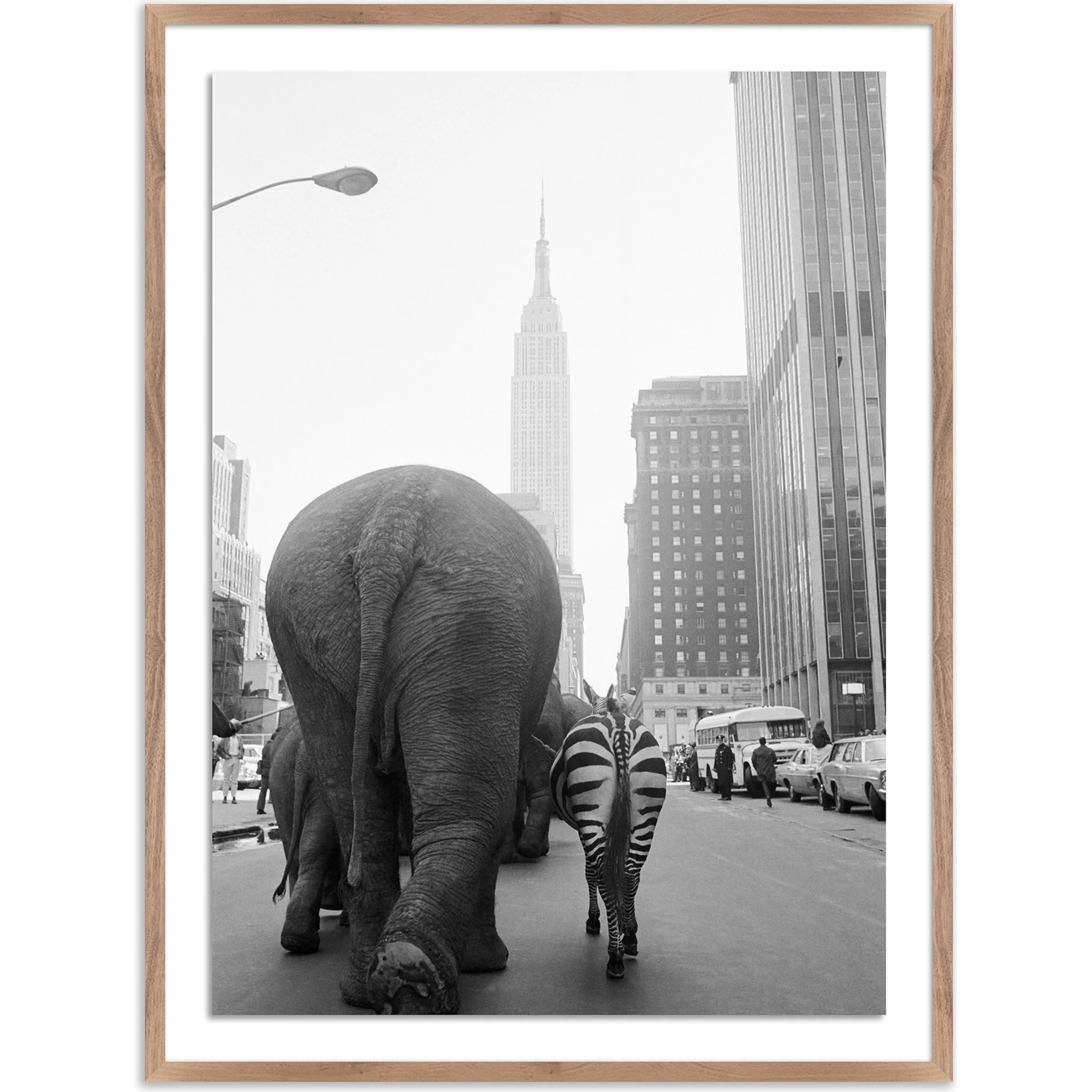 Circus Animals on 33RD St by Getty Images - Image 13