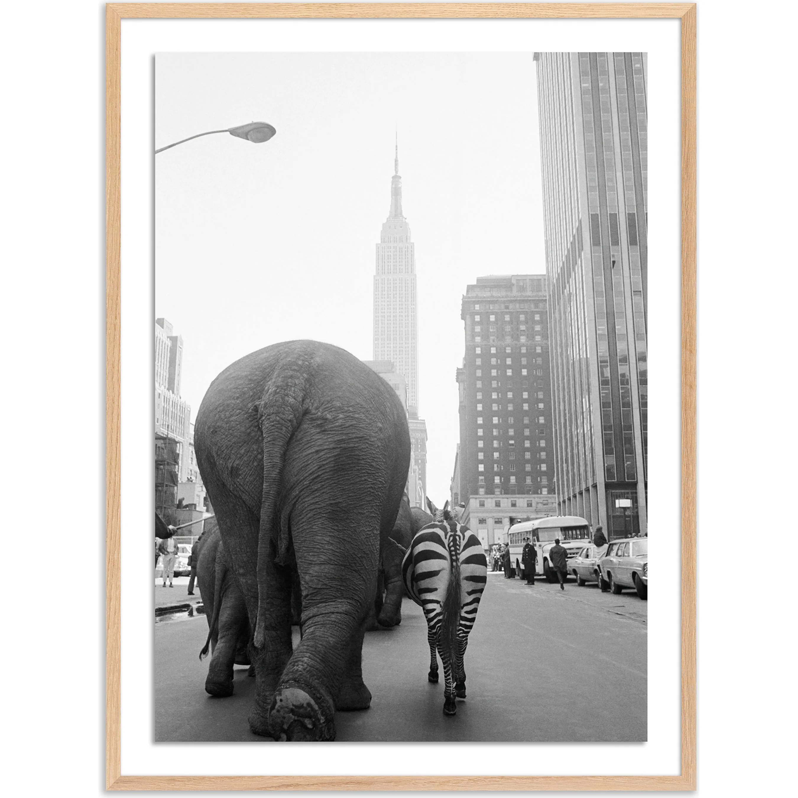 Circus Animals on 33RD St by Getty Images - Image 2