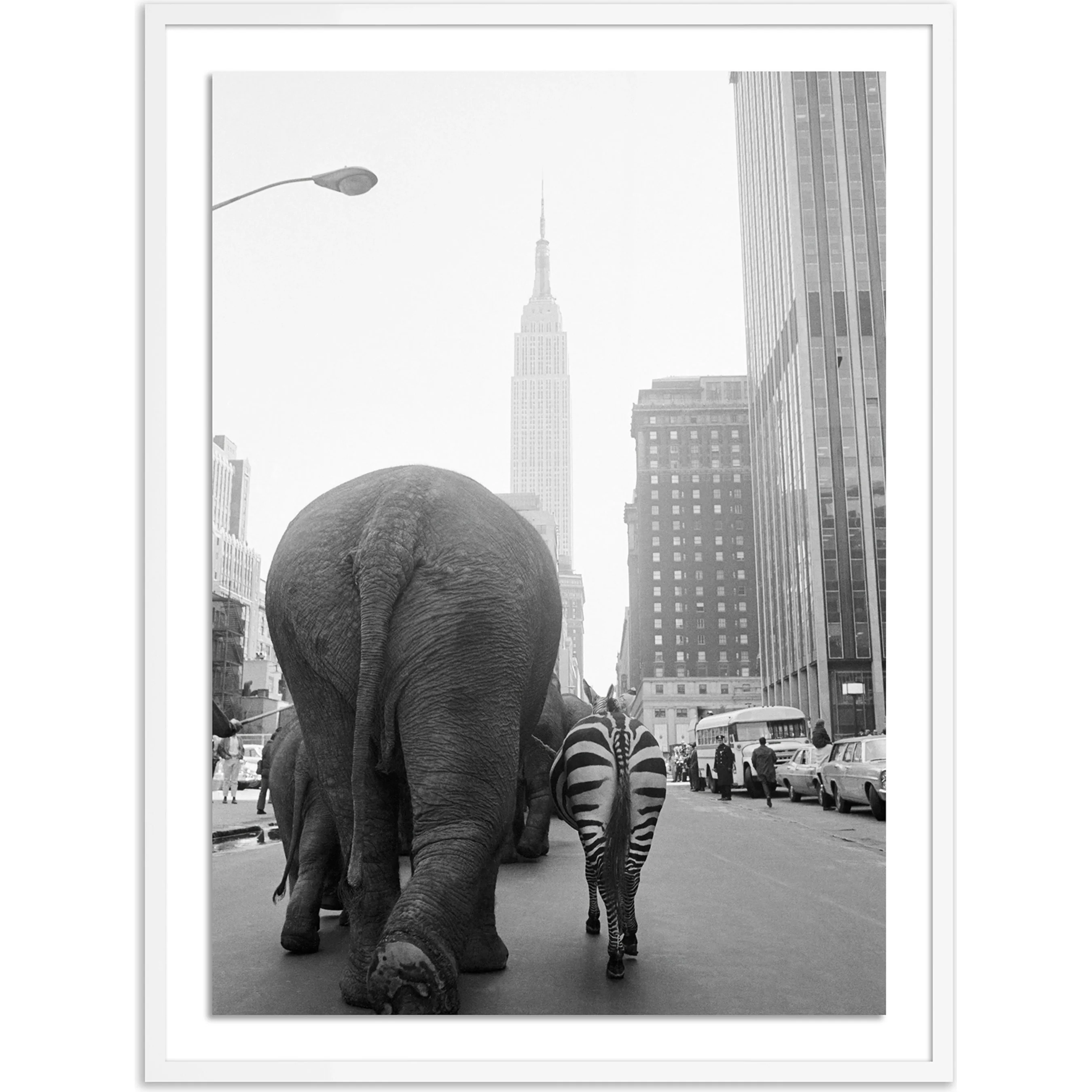 Circus Animals on 33RD St by Getty Images - Image 3