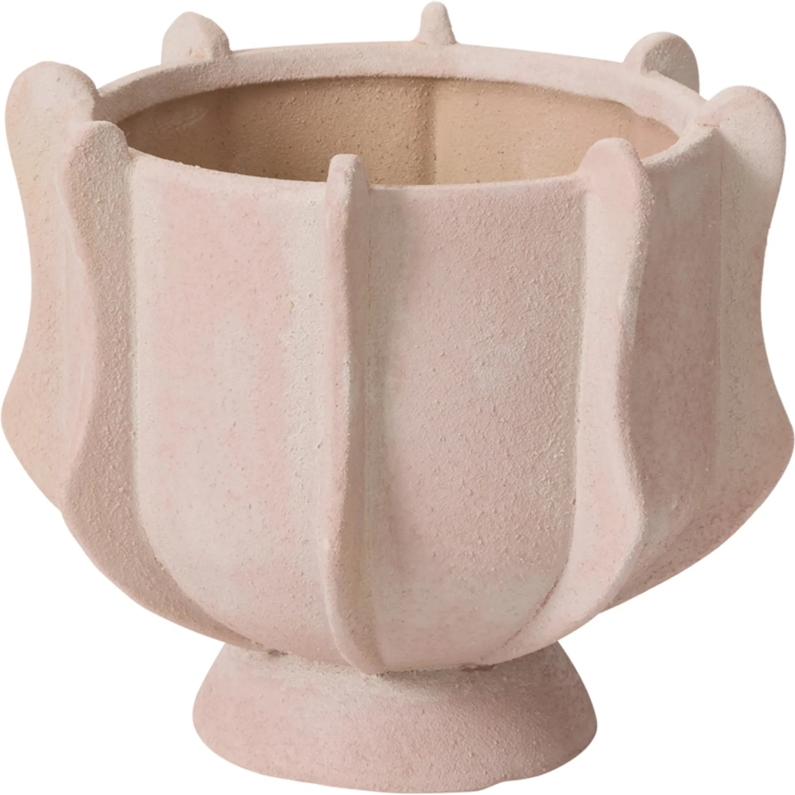 Claudia Compote