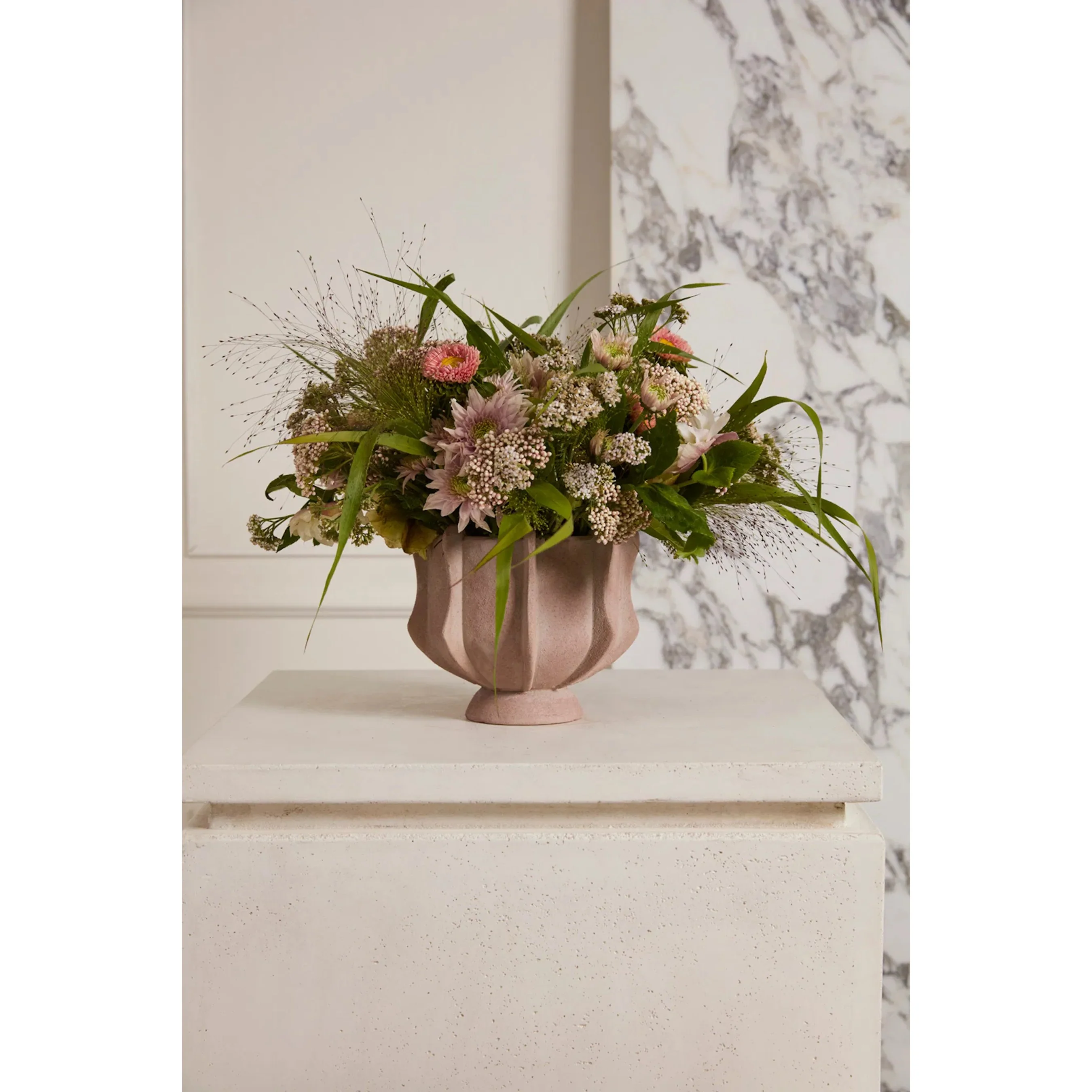 Claudia Compote - Image 2