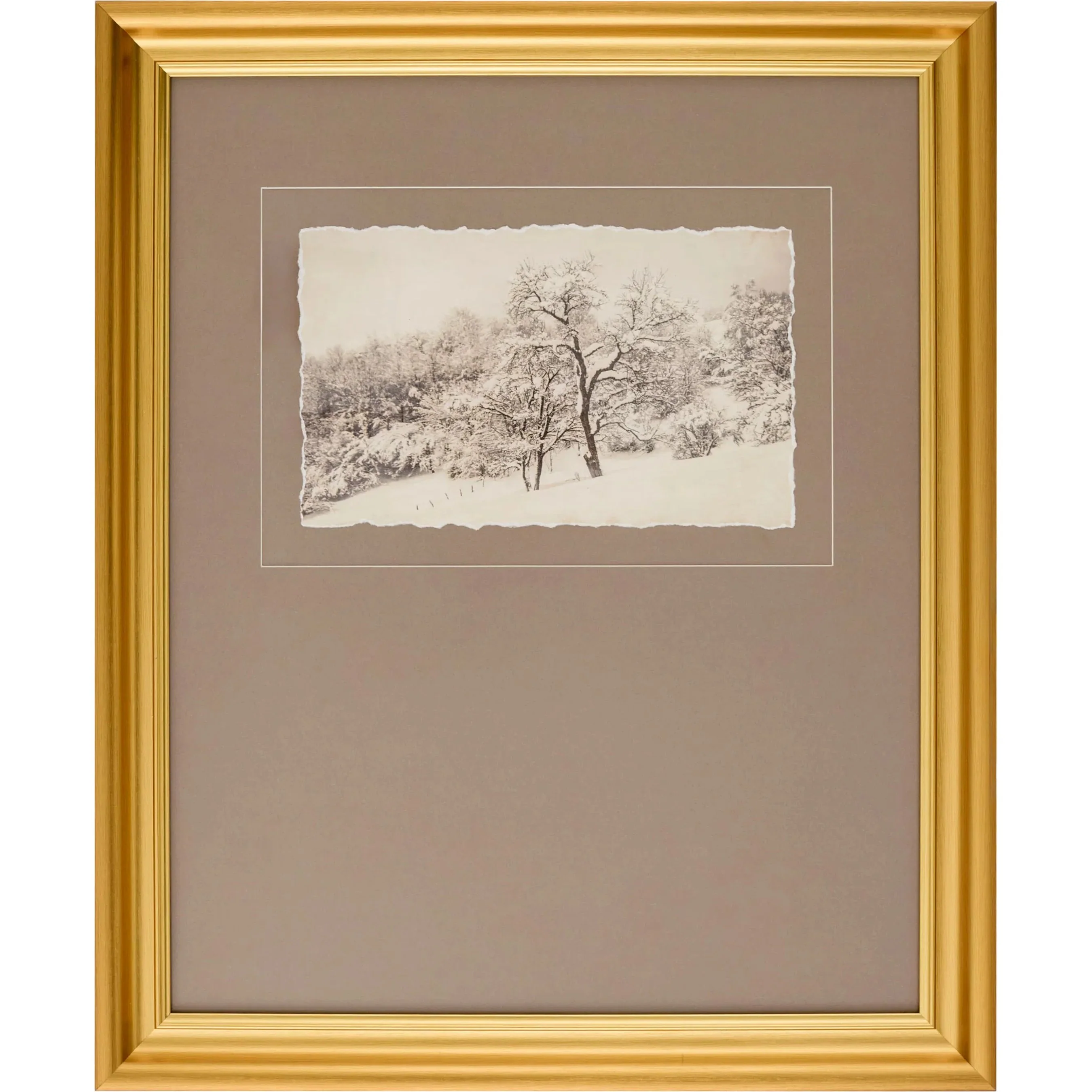 Coconino Framed Art