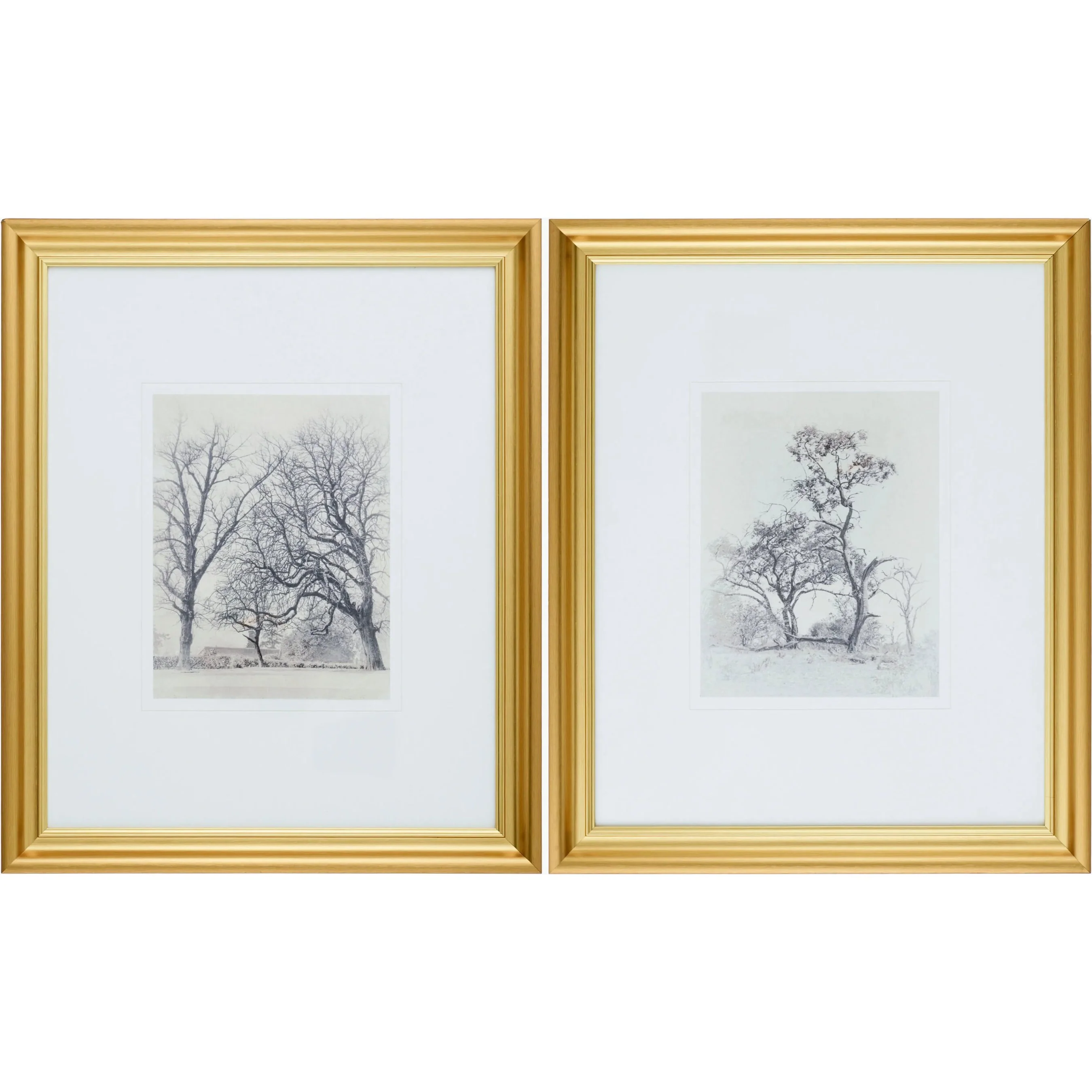 Coconino Framed Art (Set of 2) (Set of 2)