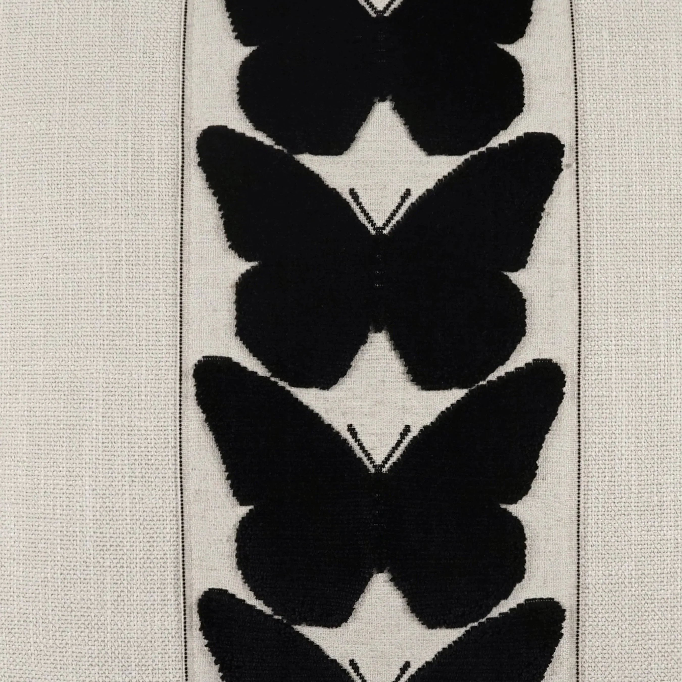 Coleous Pillow - Image 5