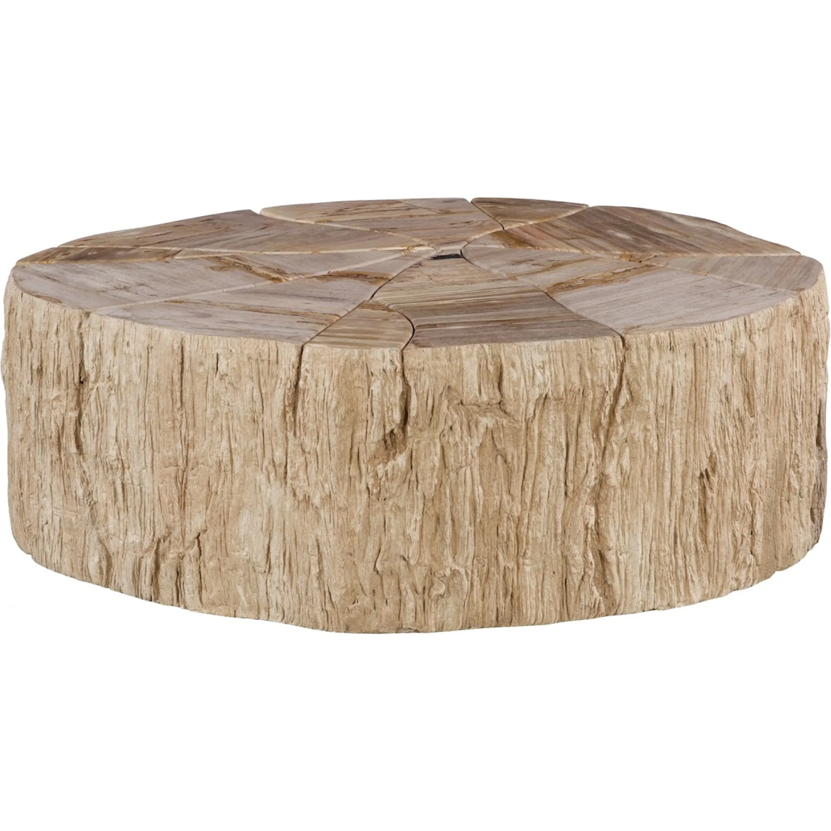 Converge Petrified Coffee Table
