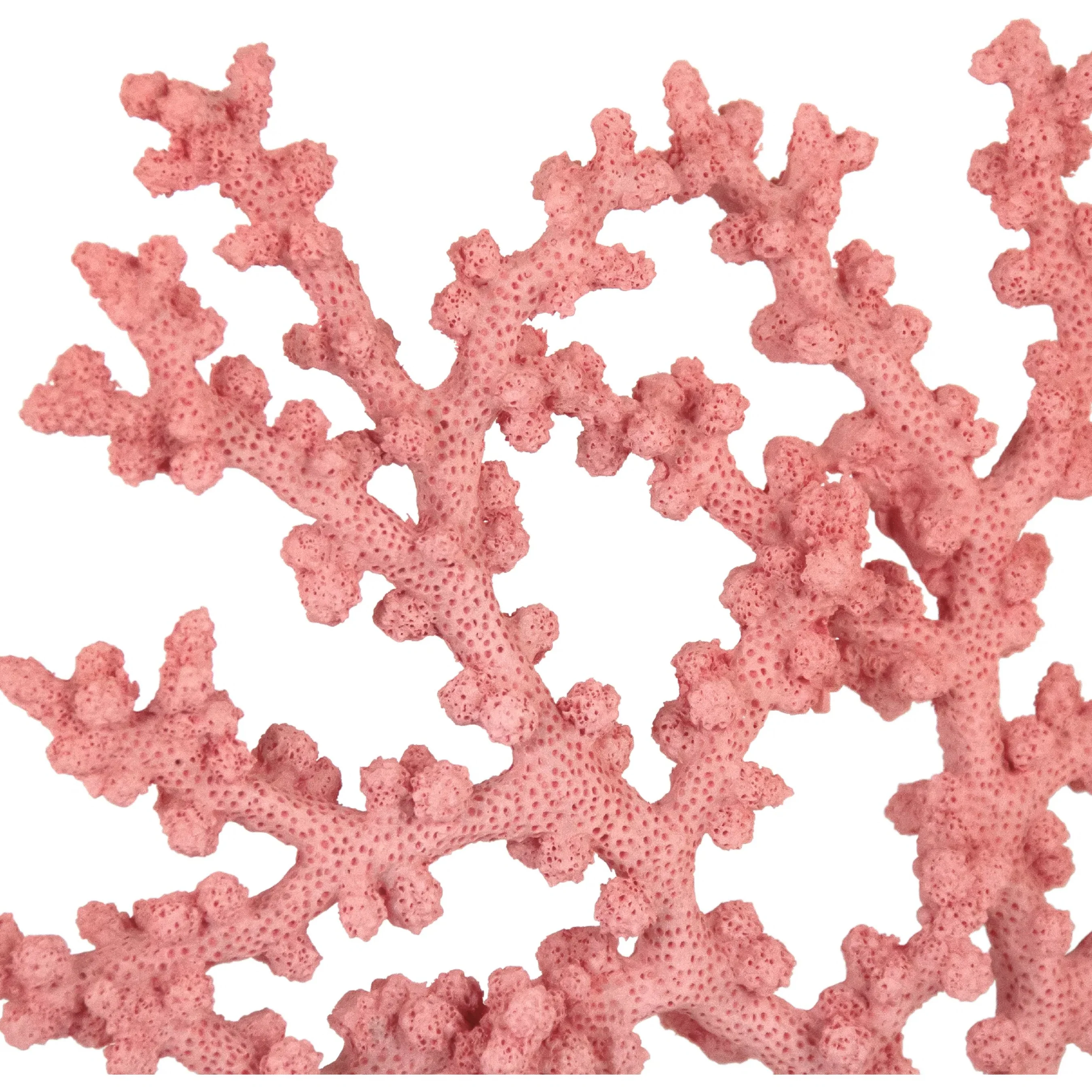 Coral Accent Décor - Image 2