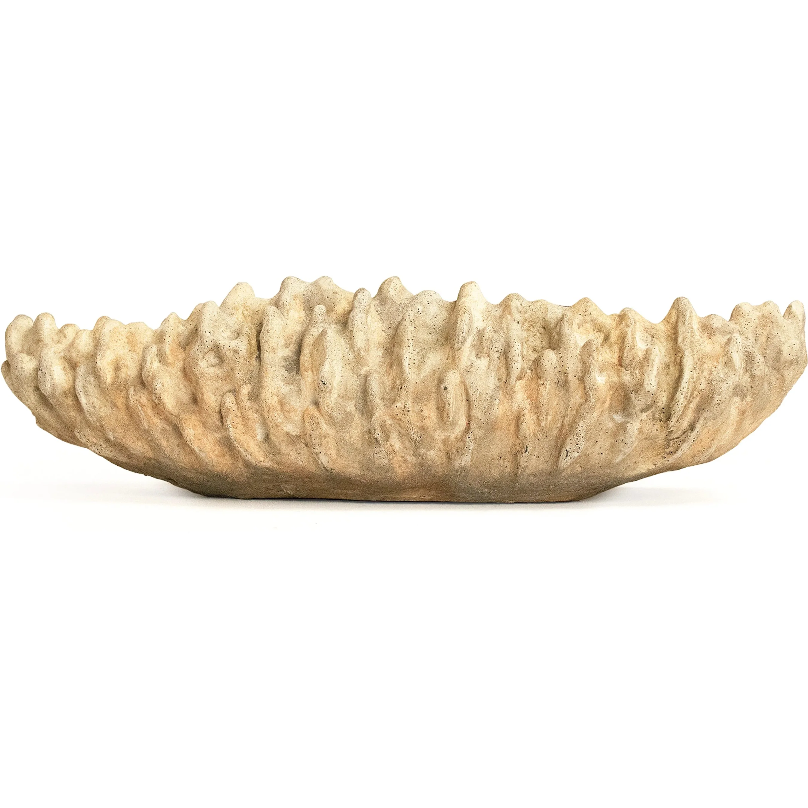 Coral Shell Bowl - Image 2