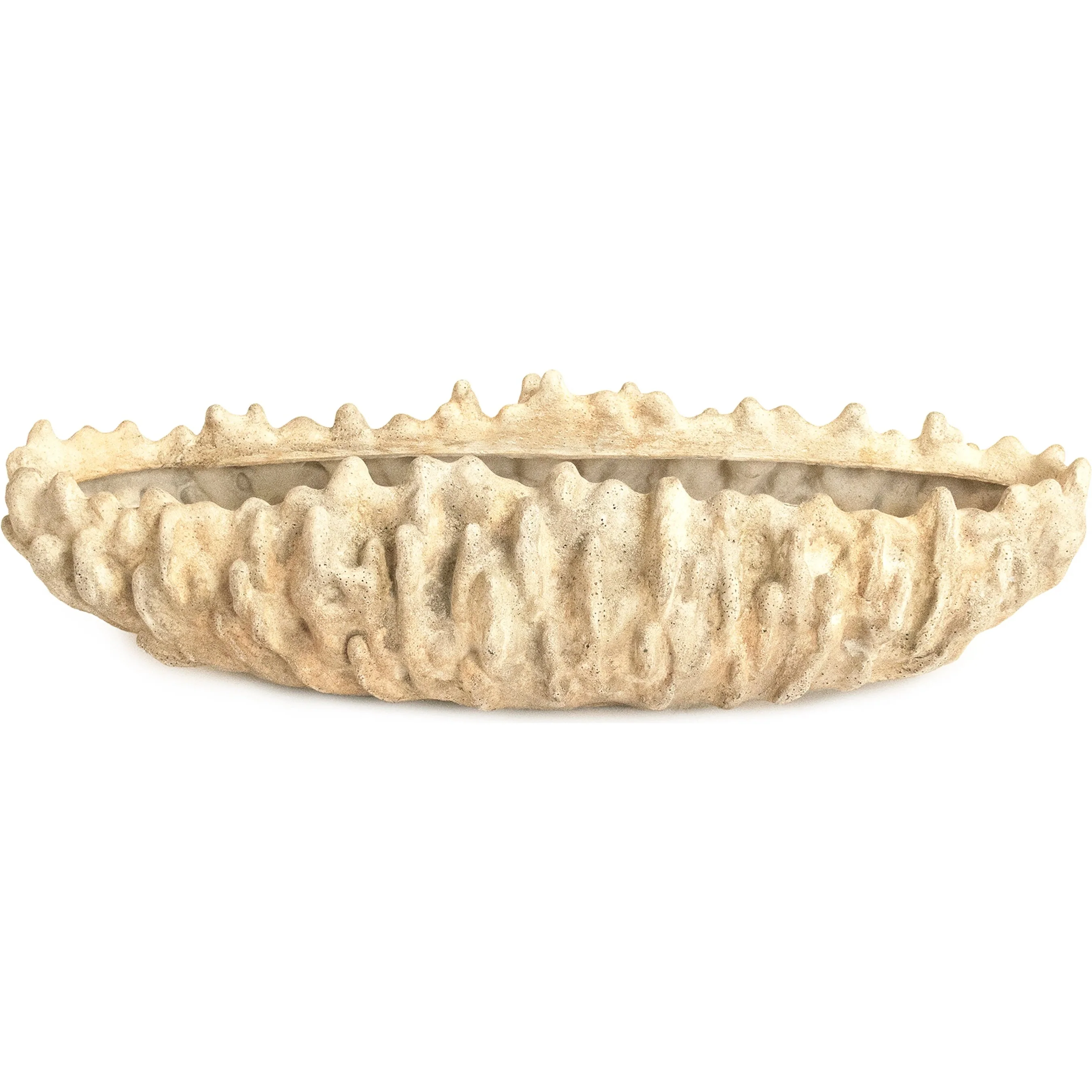 Coral Shell Bowl - Image 3