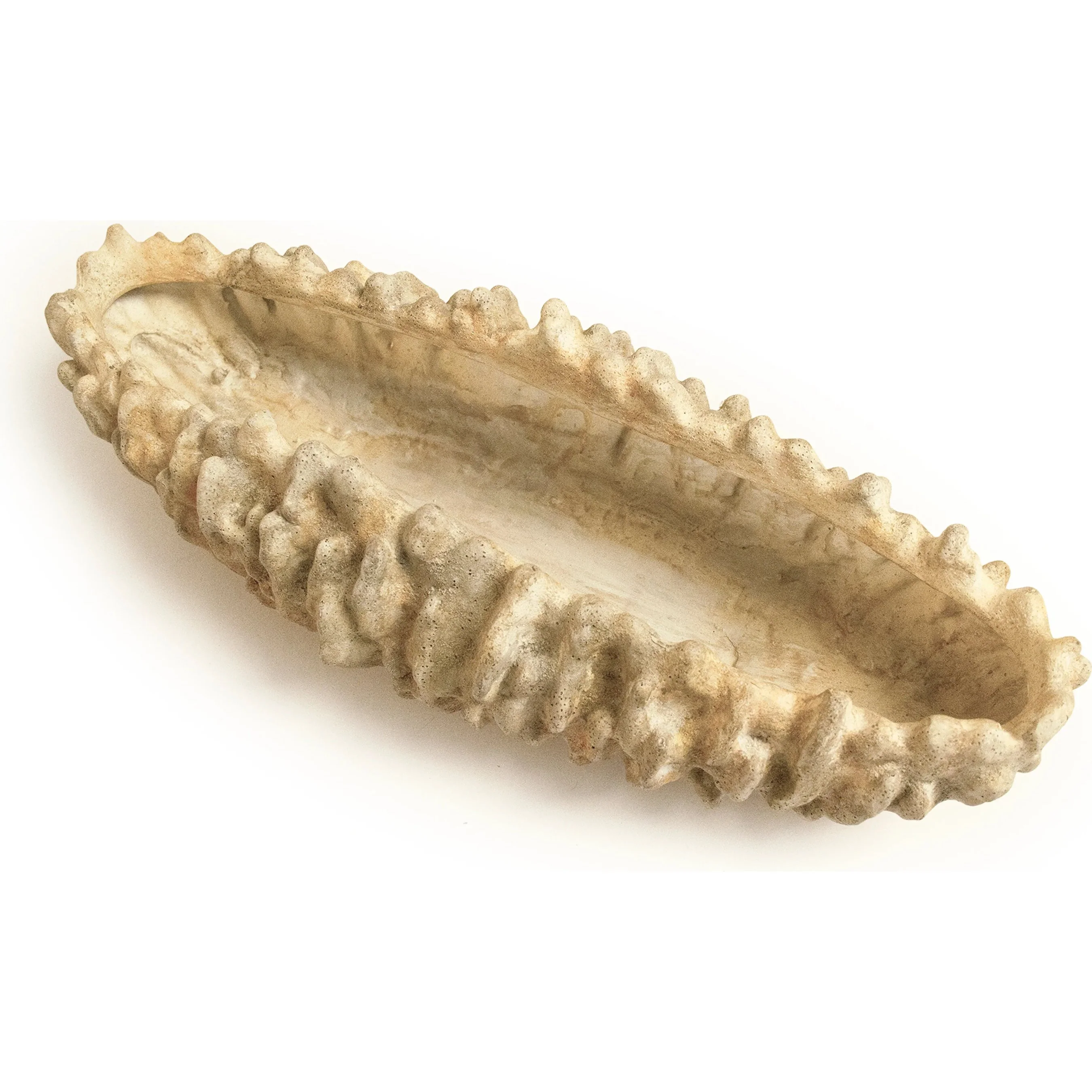 Coral Shell Bowl - Image 4