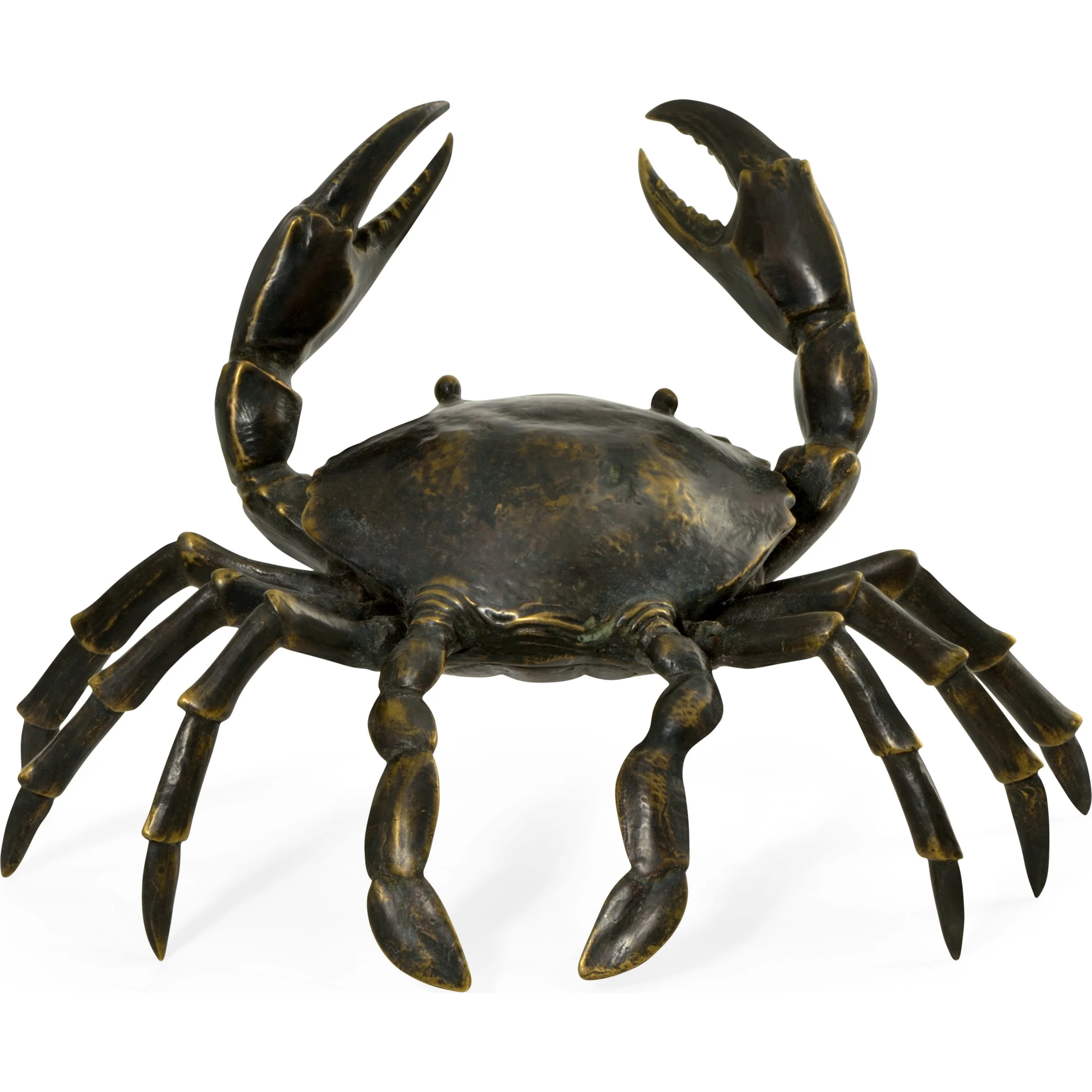 Curated Crab - Image 3