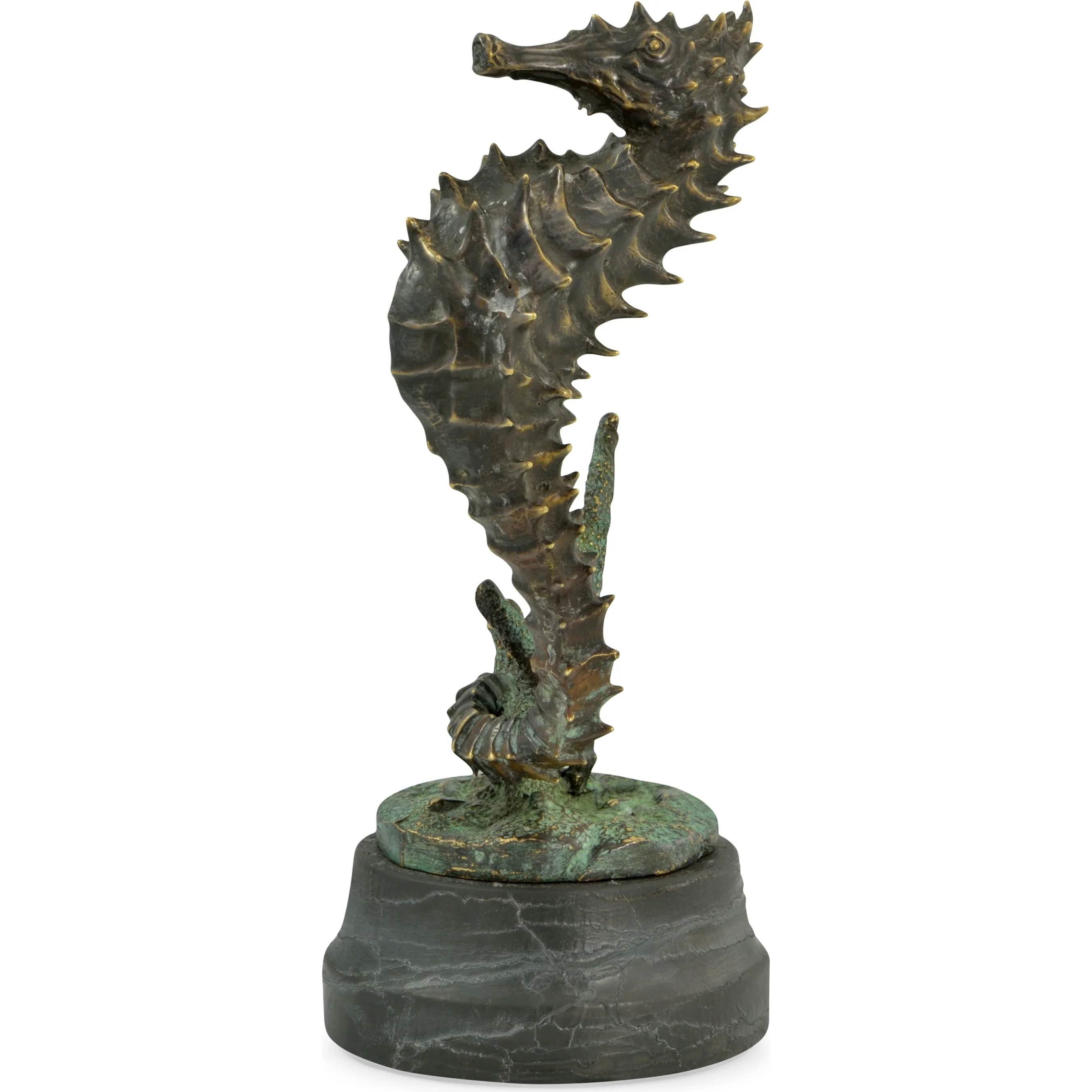 Curated Seashorse - Image 2