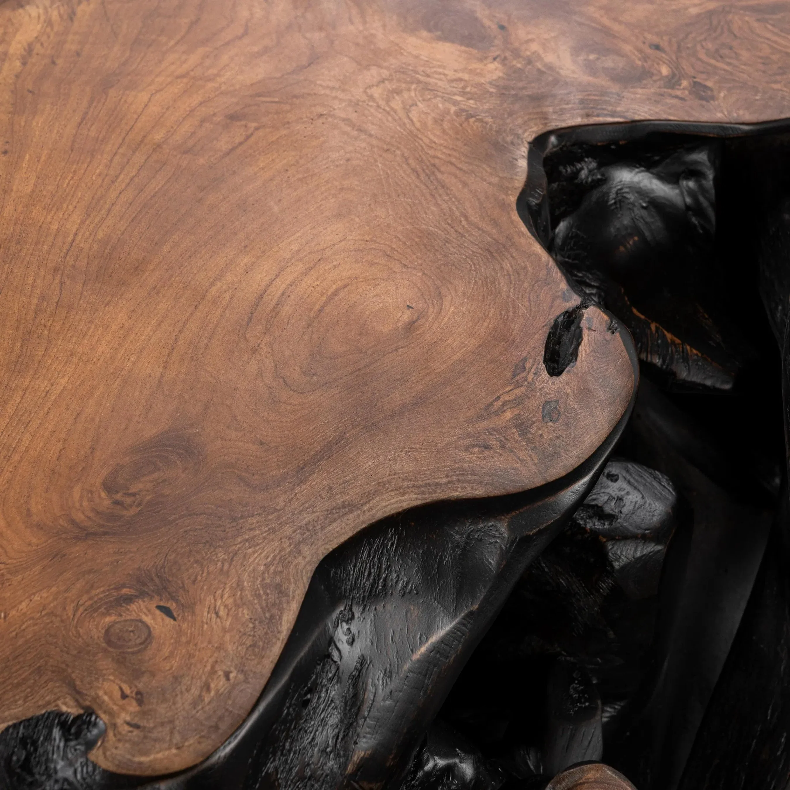 Cypress Teak Wood Root Console Table - Image 22