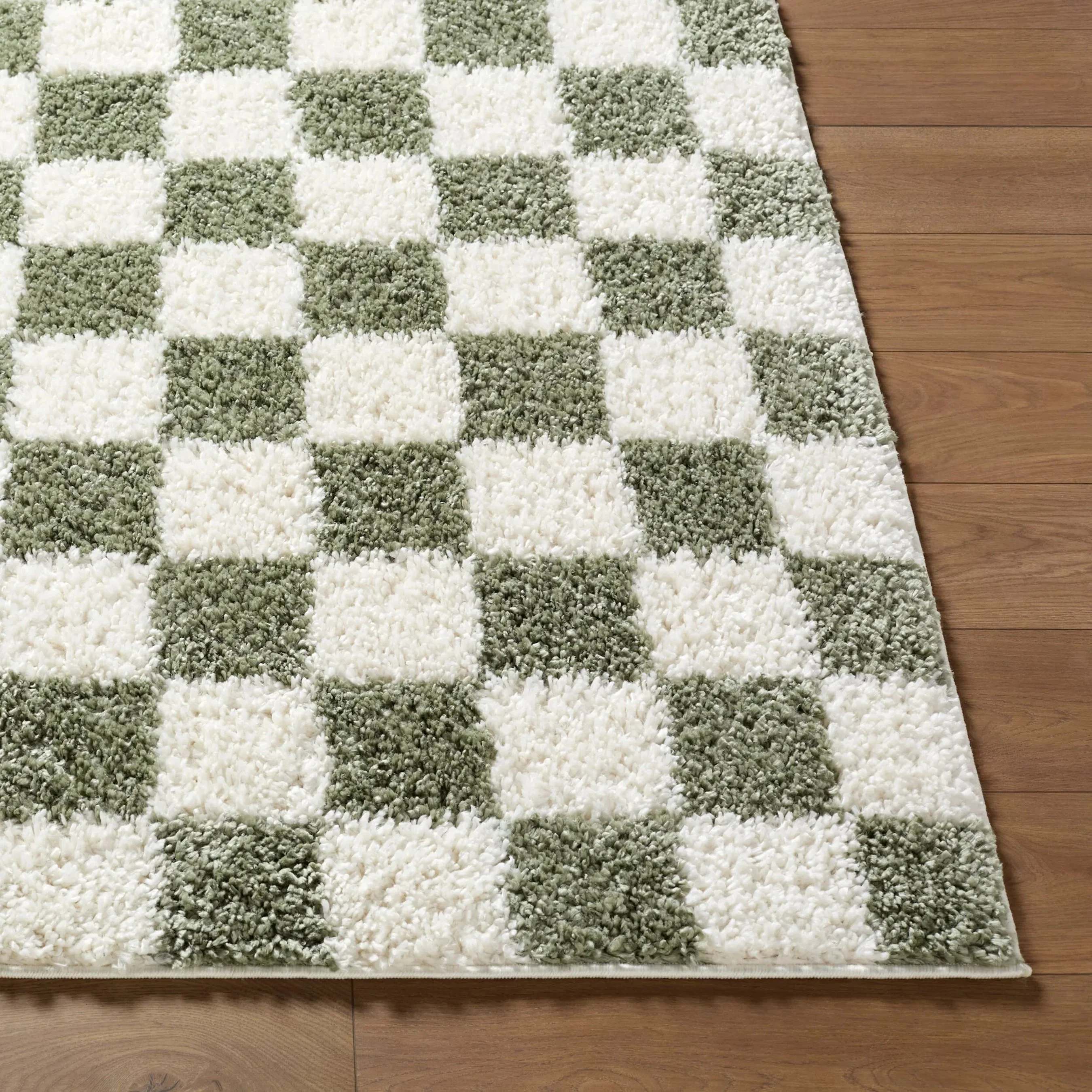 Czechia CZE-2301 Rug - Image 13