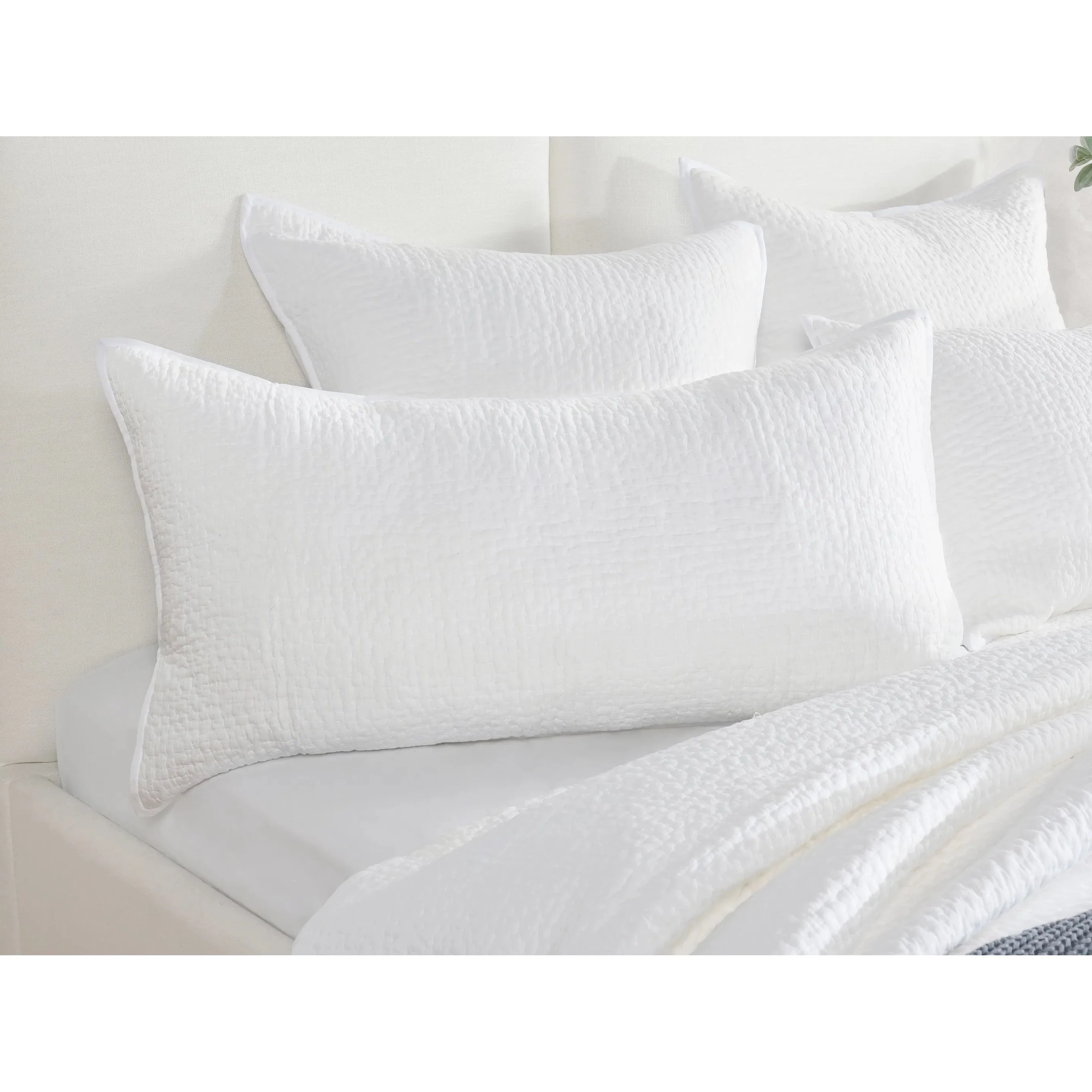 Danica 100% Cotton Throw Pillow - Image 22