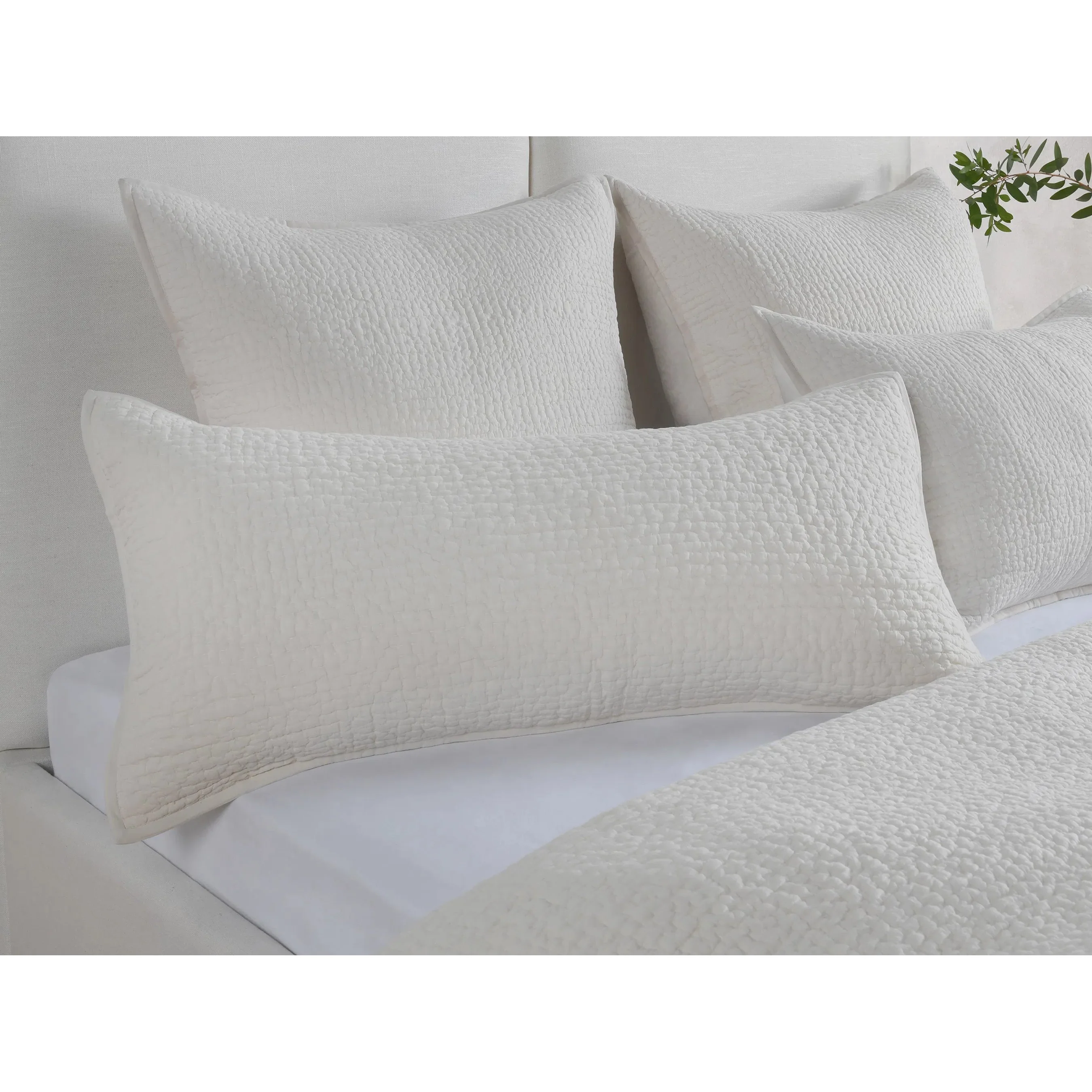 Danica 100% Cotton Throw Pillow - Image 24