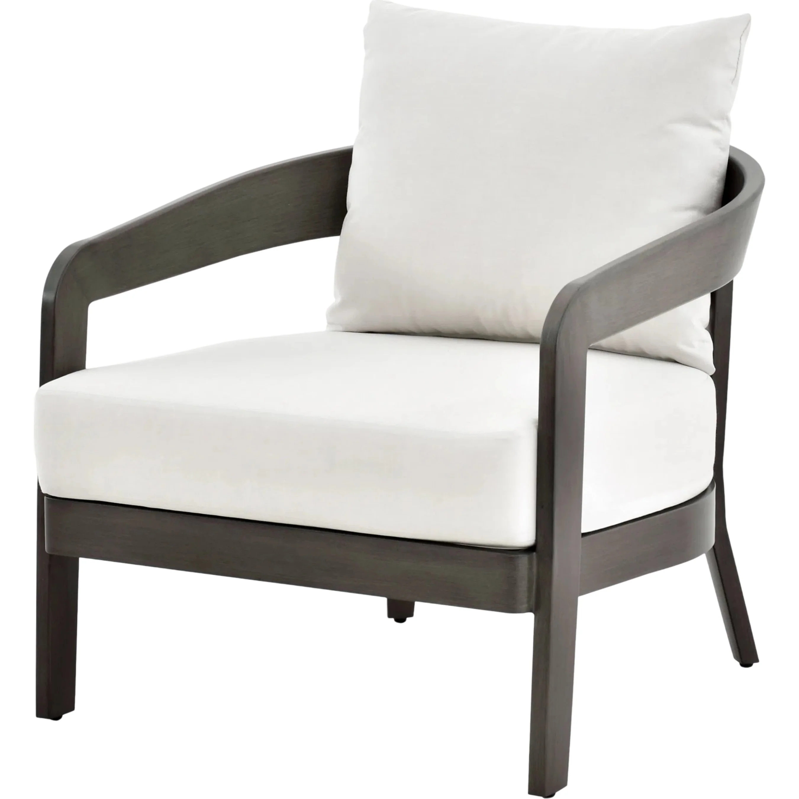 Daniella Indoor/Outdoor Accent Chair