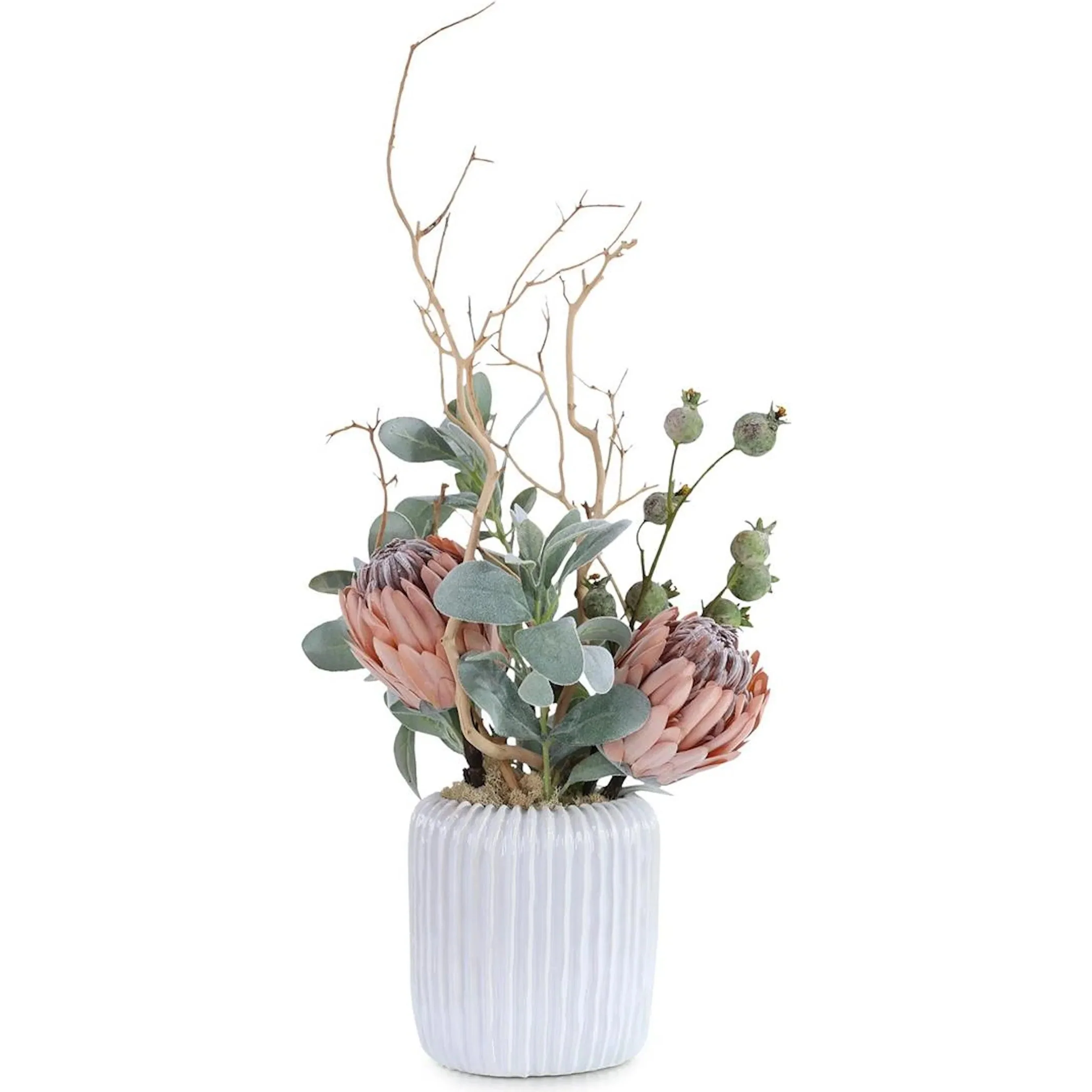 Desert Blooms
