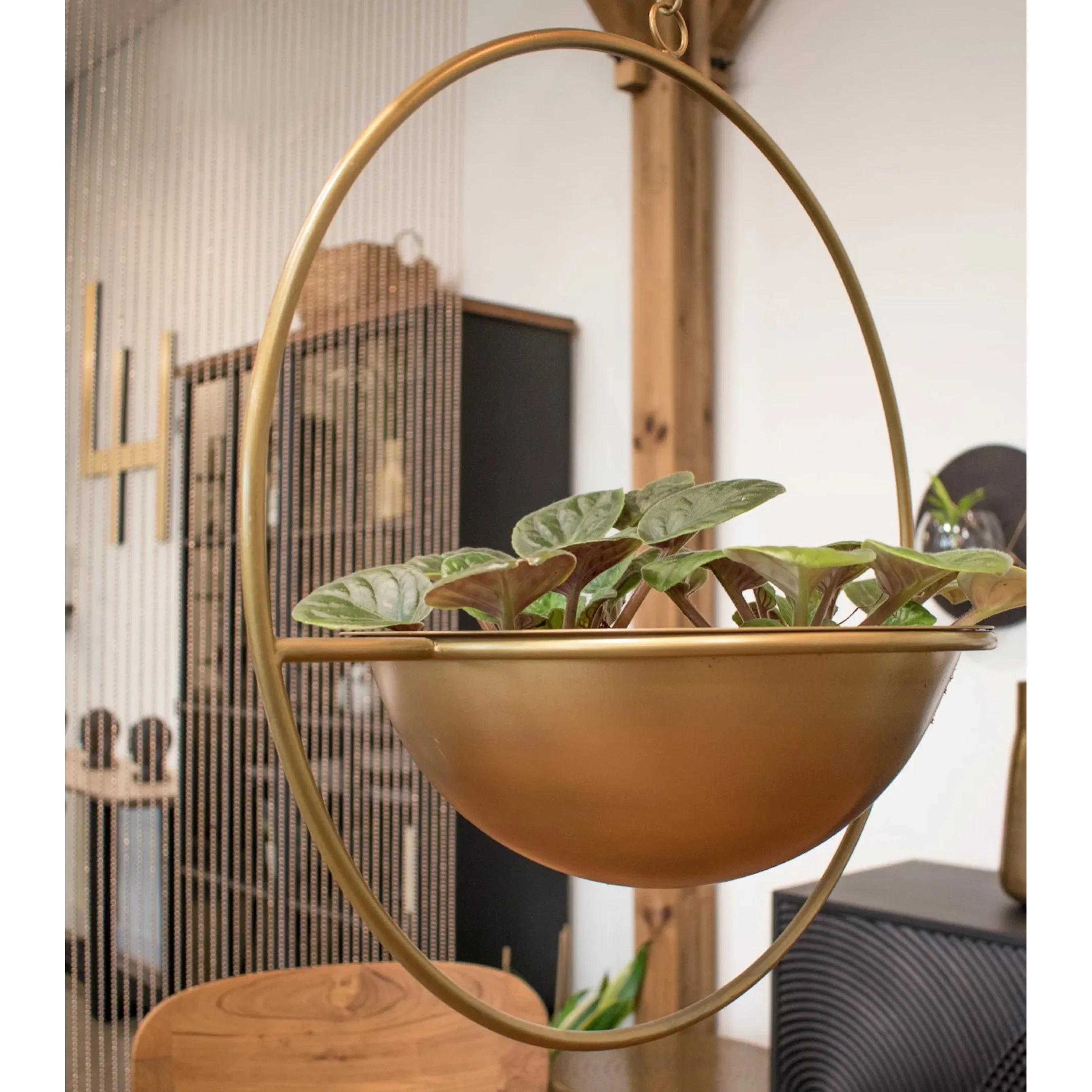 Earth Wind & Fire Hanging Pots - Image 3