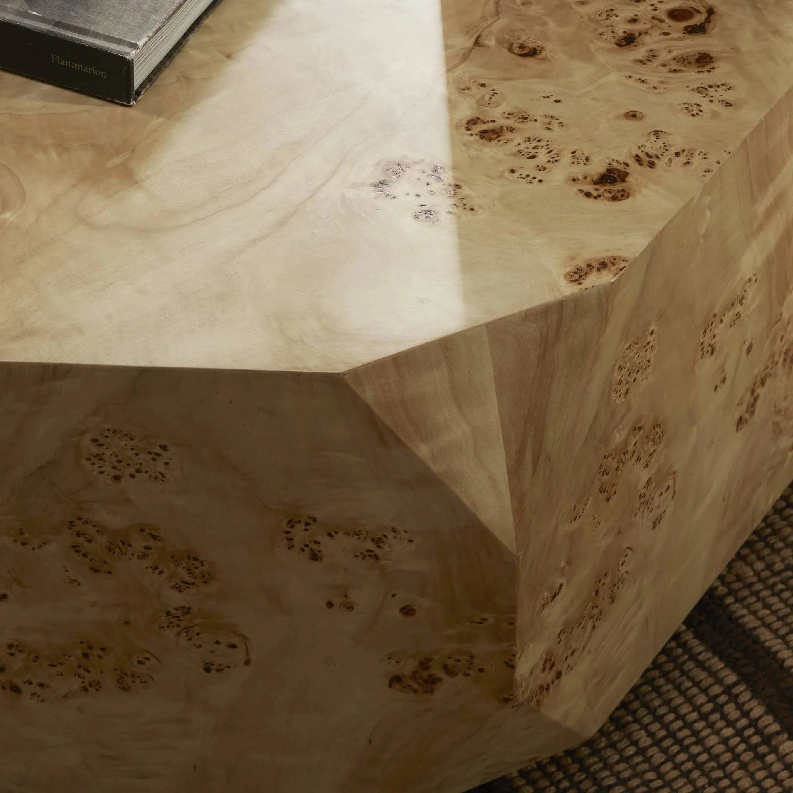 Elena Coffee Table - Image 9