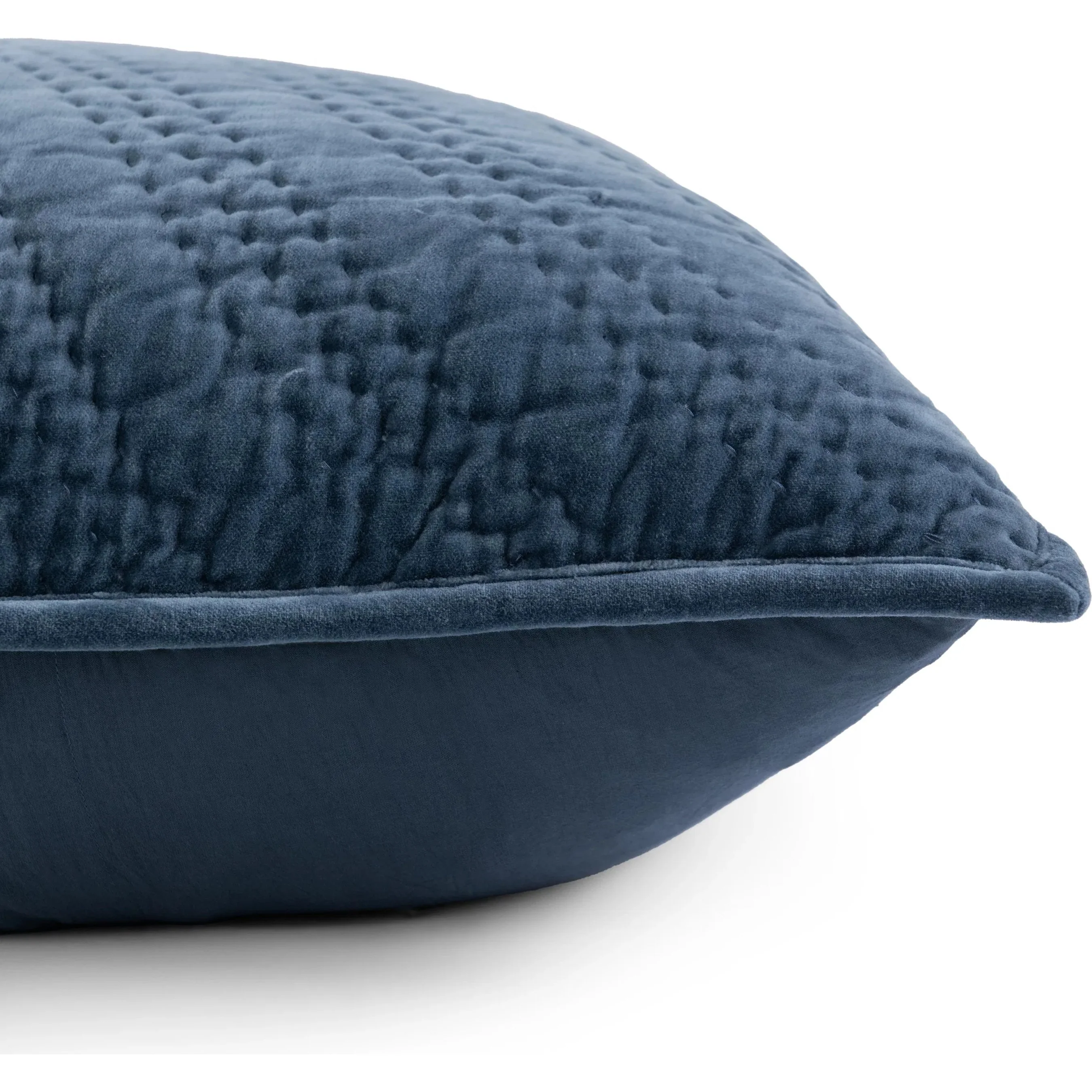 Elms Velvet Crisp Decorative Pillow - Image 13
