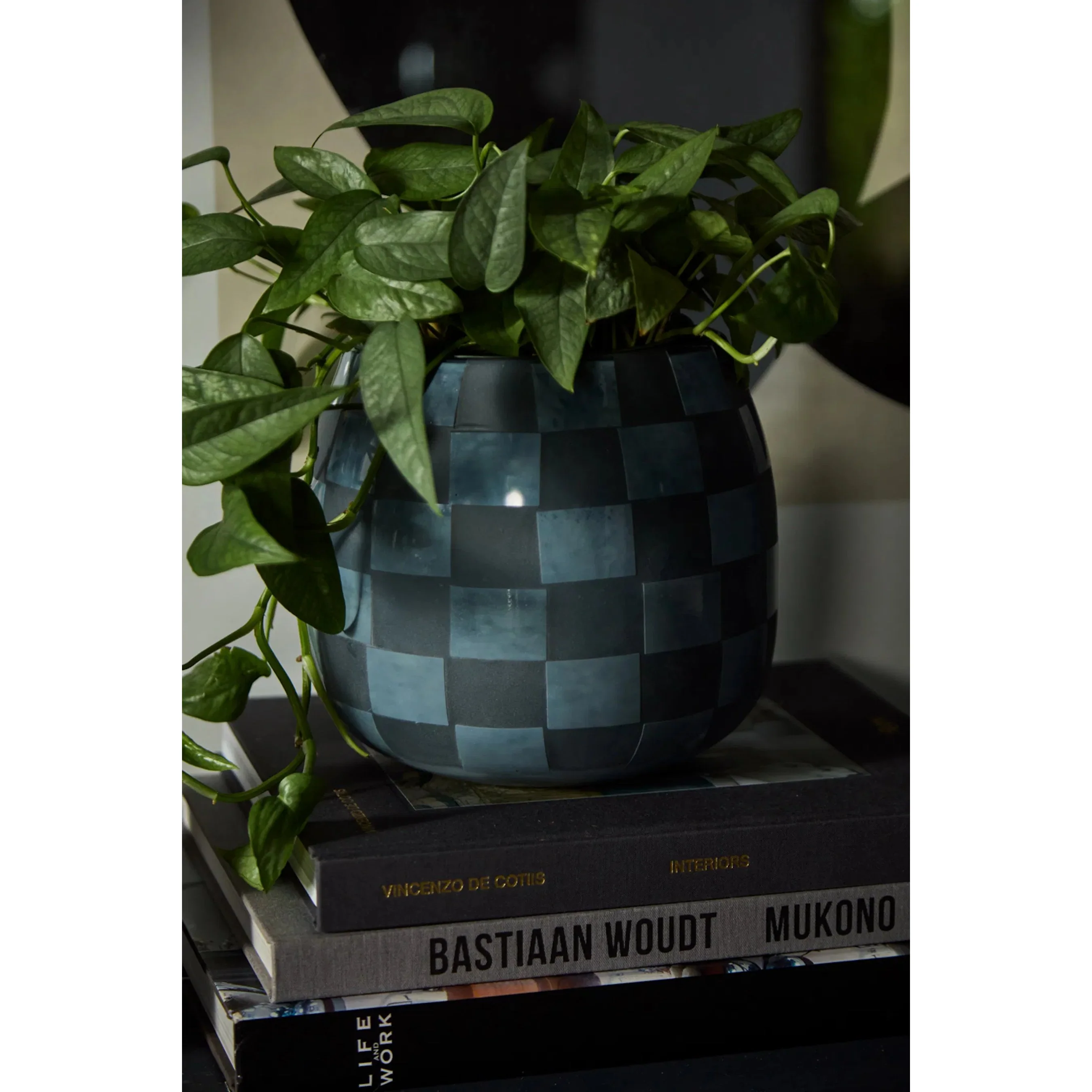 Enthia Vase - Image 4