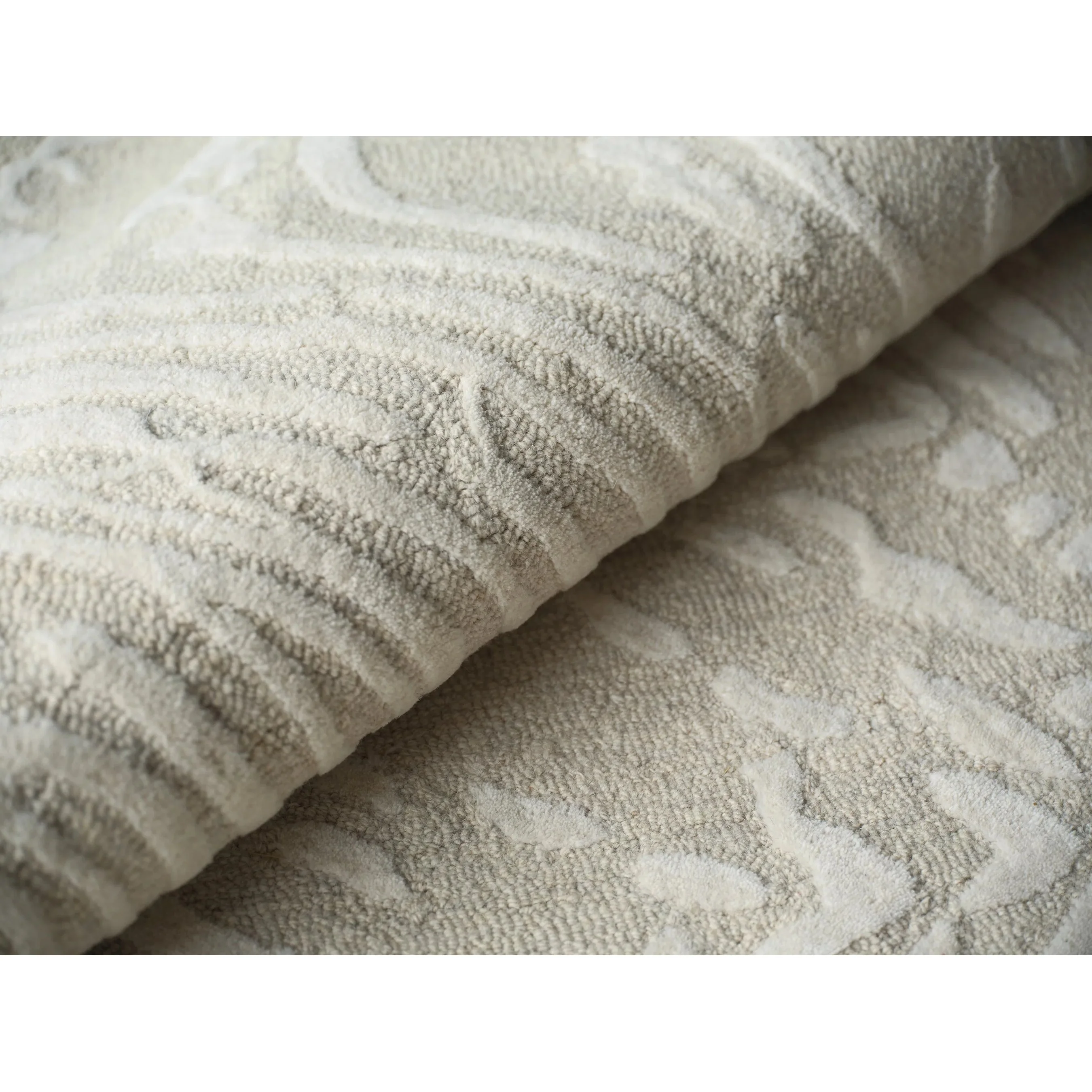 Entro Area Rug - Image 11