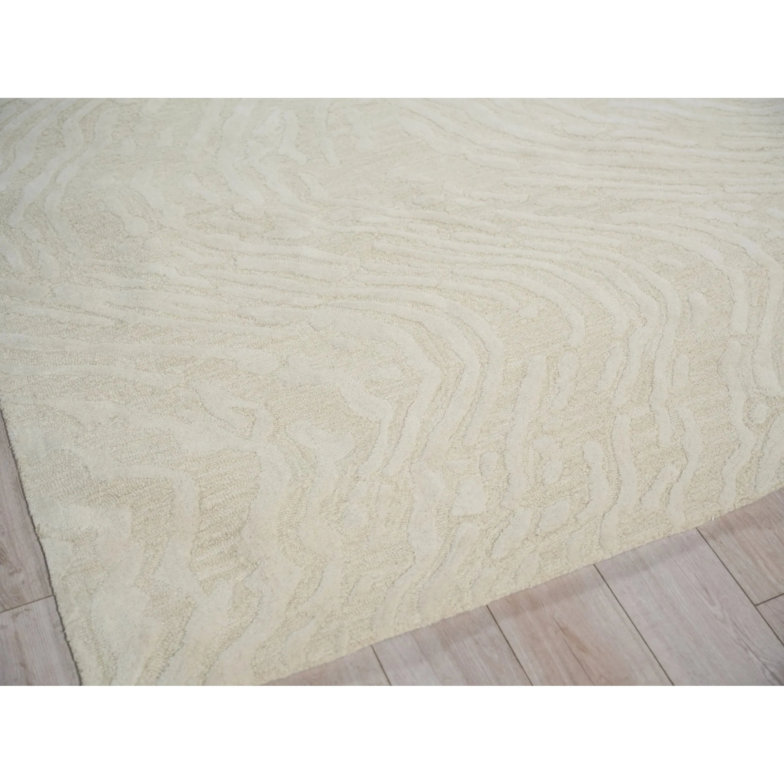 Entro Area Rug - Image 12