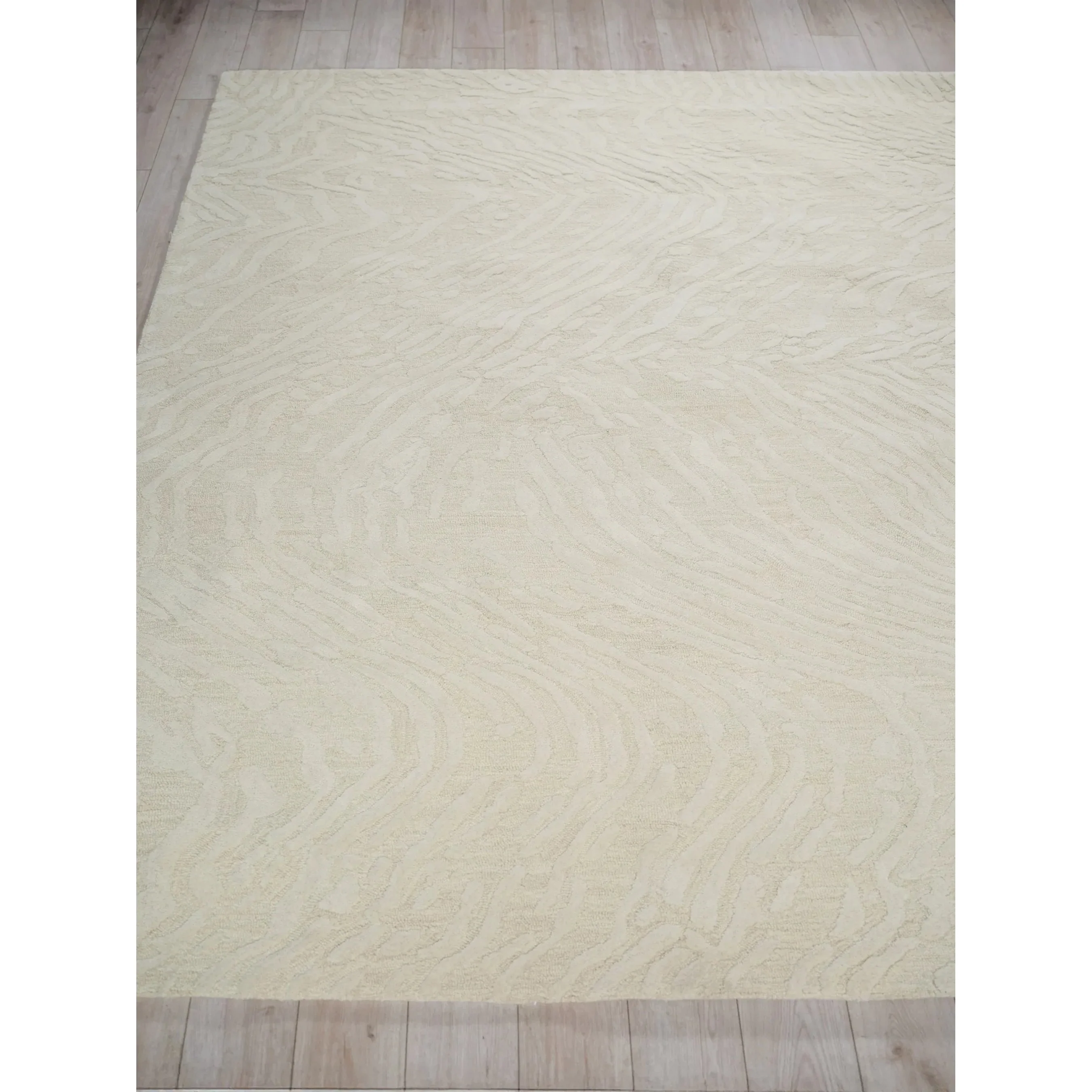 Entro Area Rug - Image 13