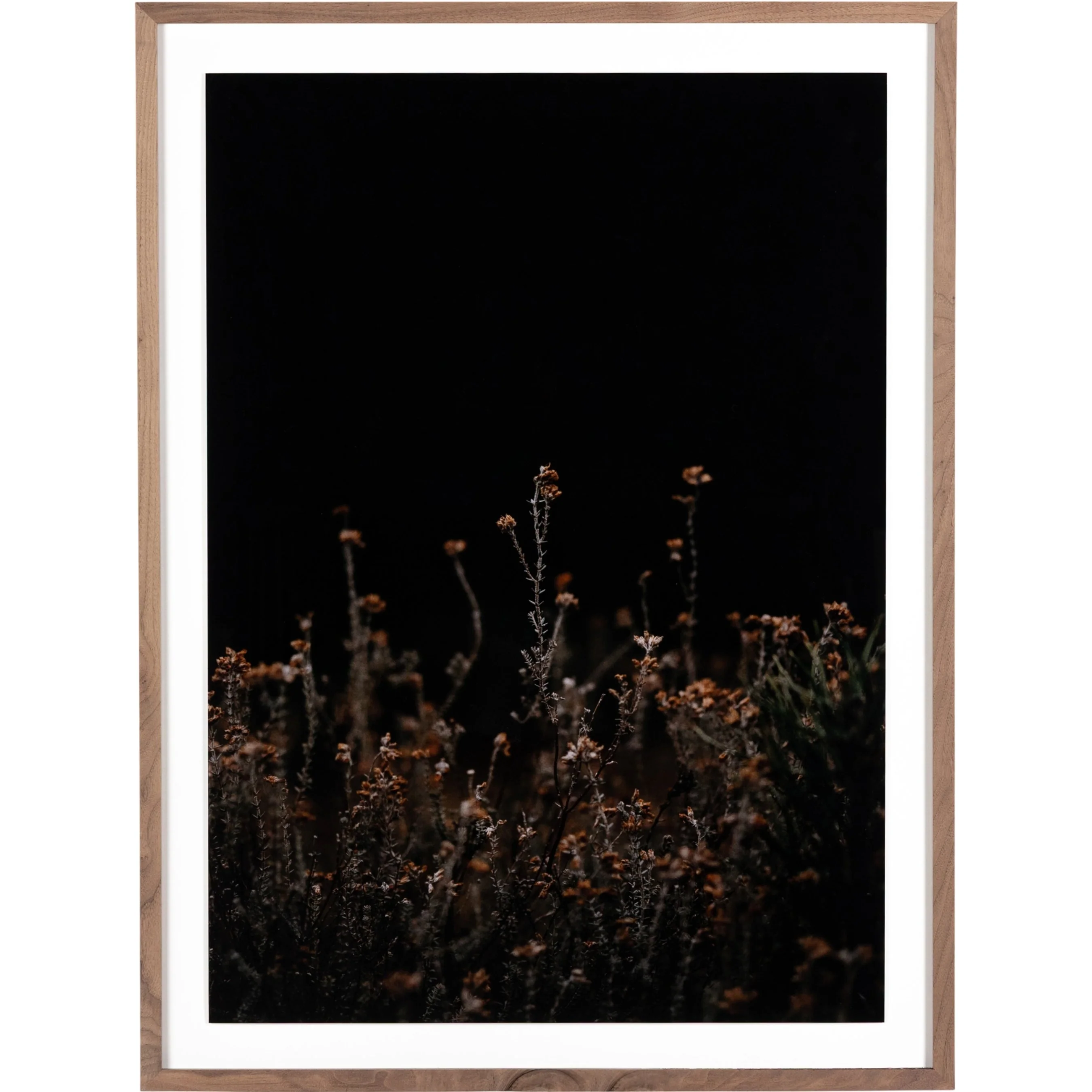 Escape I by Annie Spratt - Image 3
