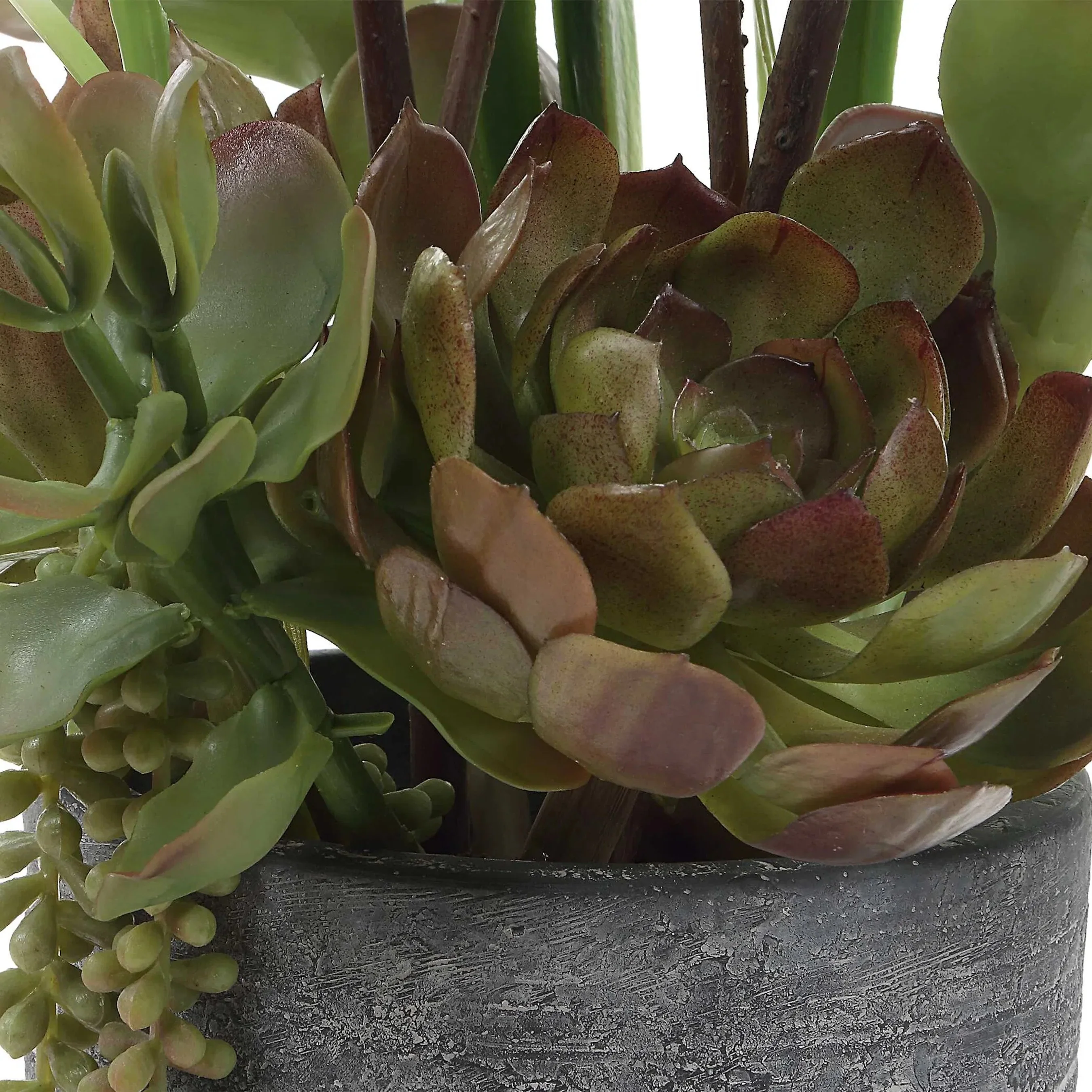 Eterna Orchid Centerpiece & Vase - Image 3