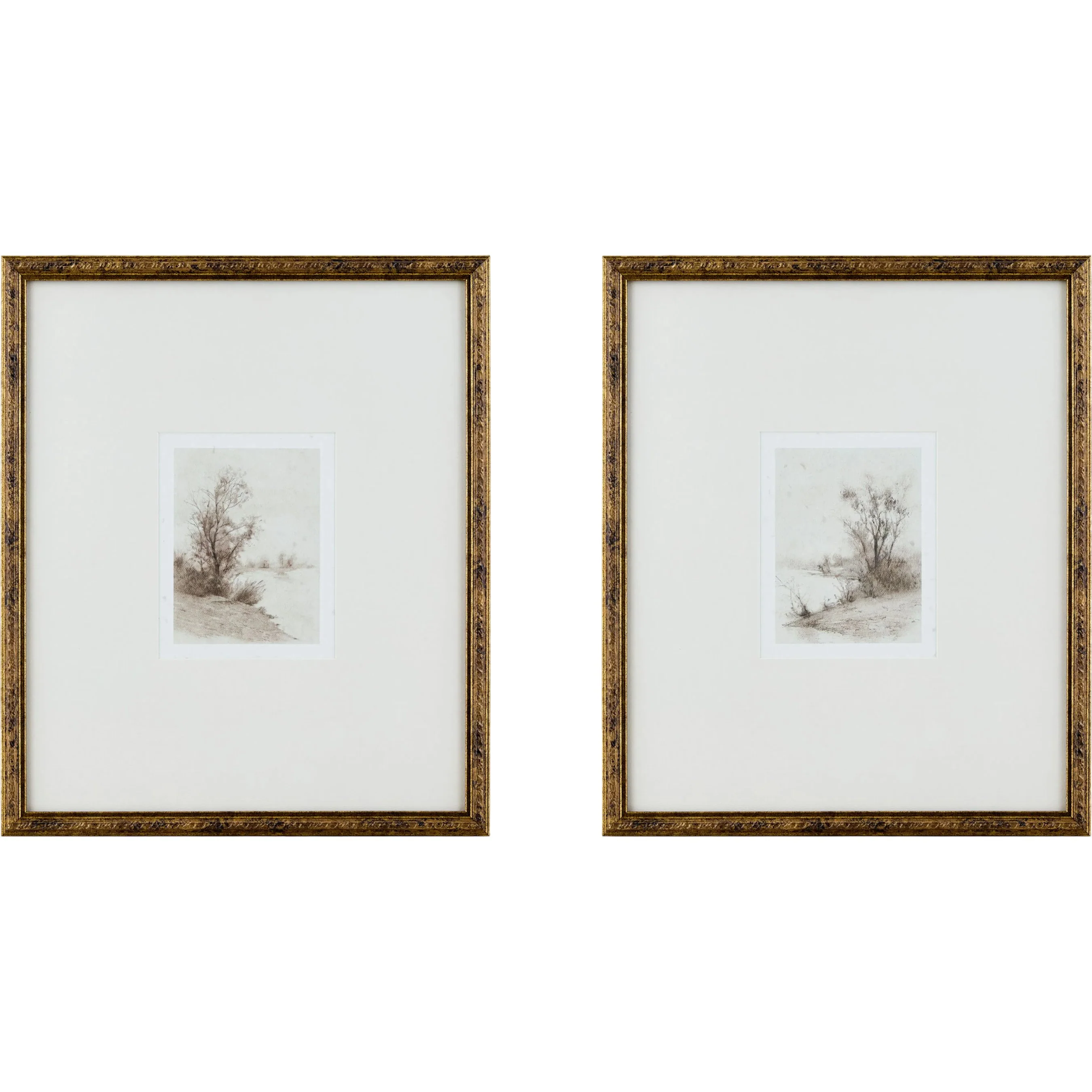 Evening Framed Art