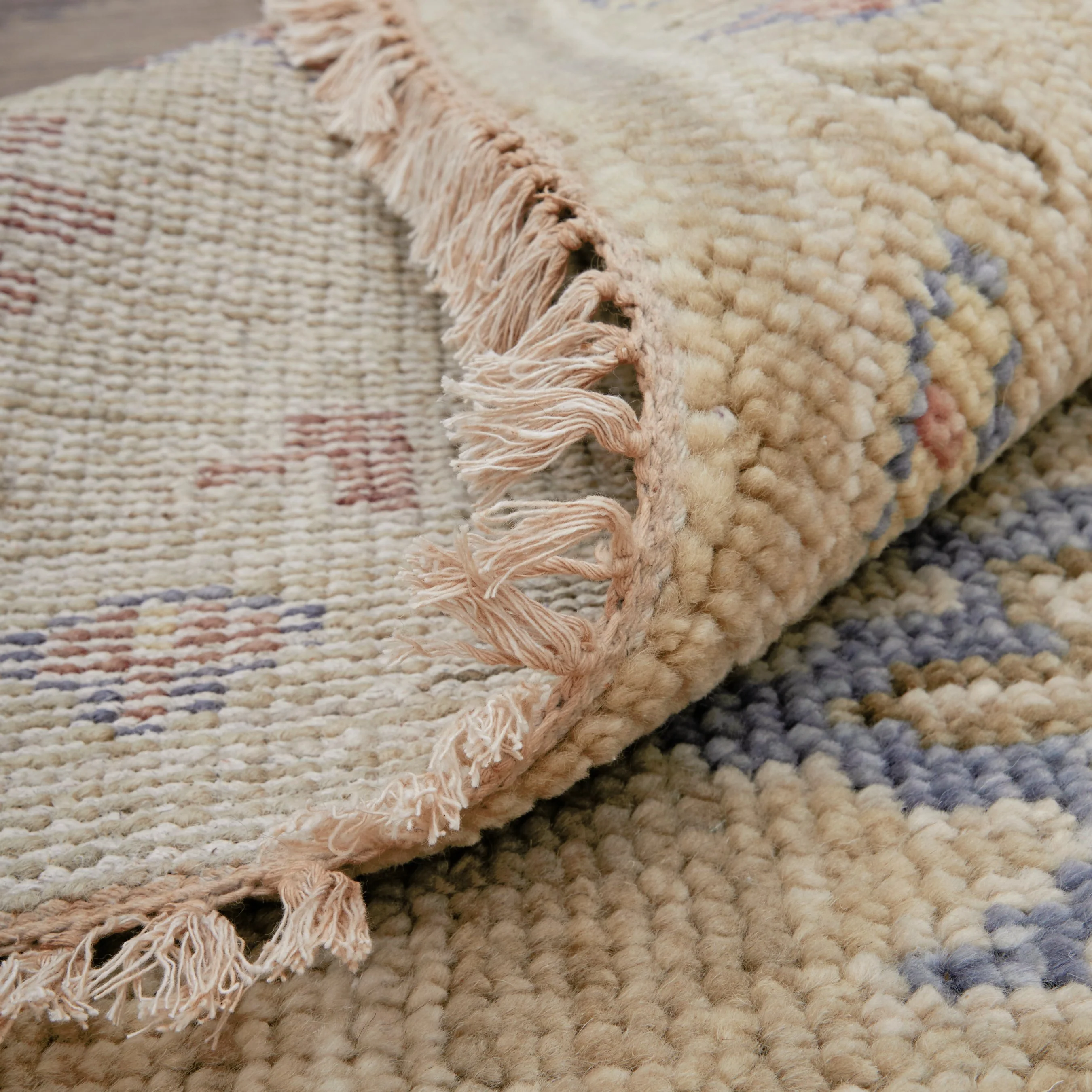 Fillmore Transitional & Botanical Rug - 69CJF - Image 17
