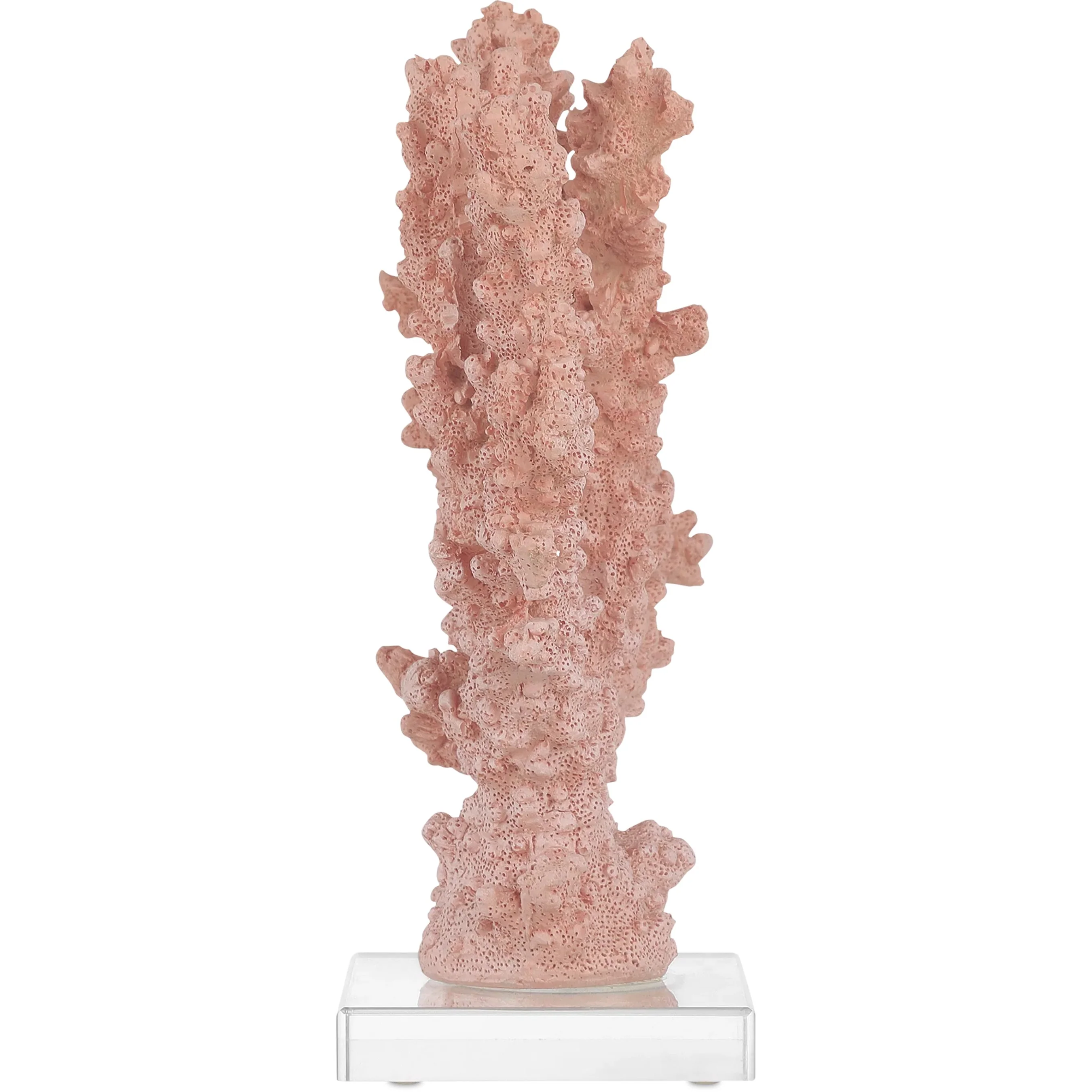 Fire Coral - Image 3