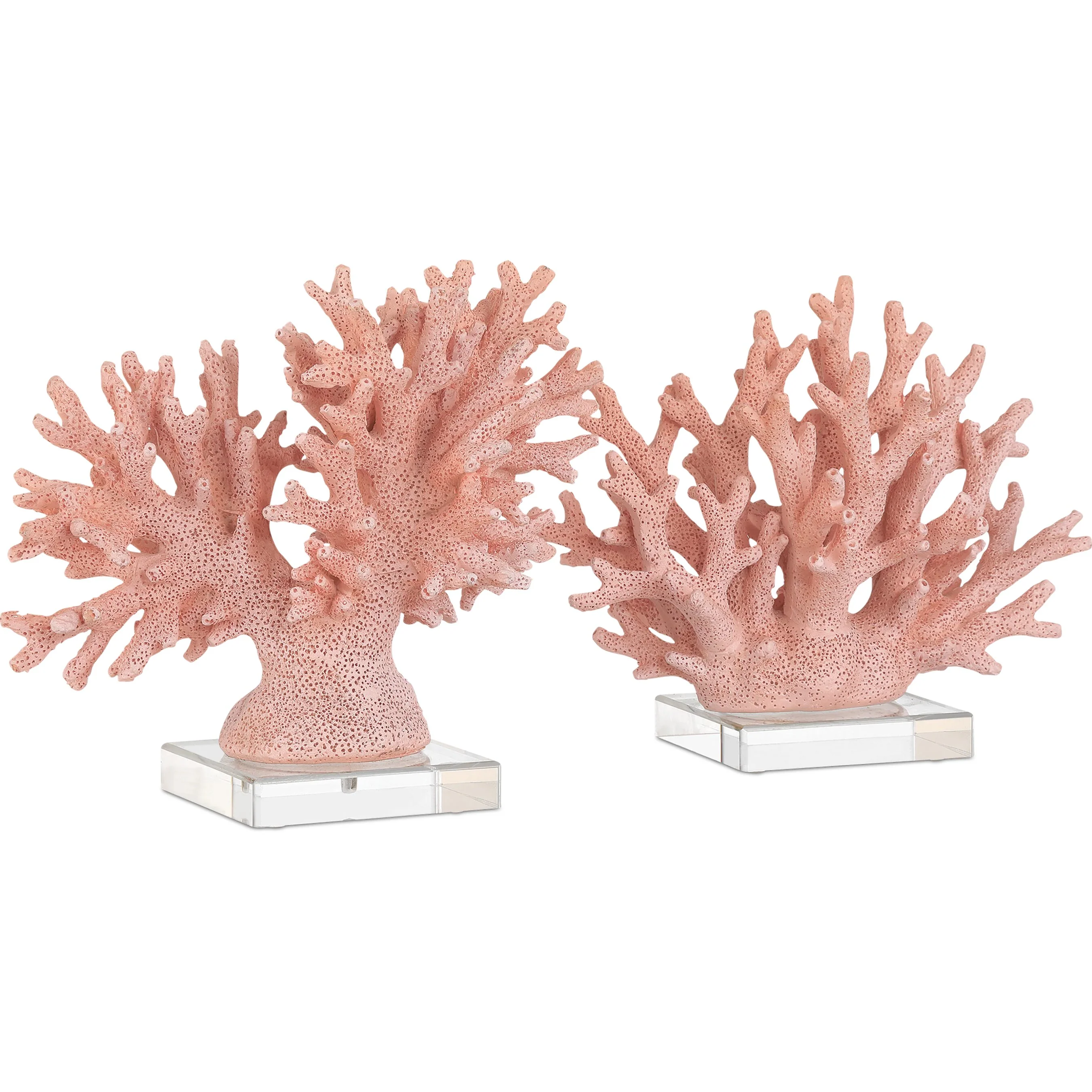 Fire Coral - Image 4