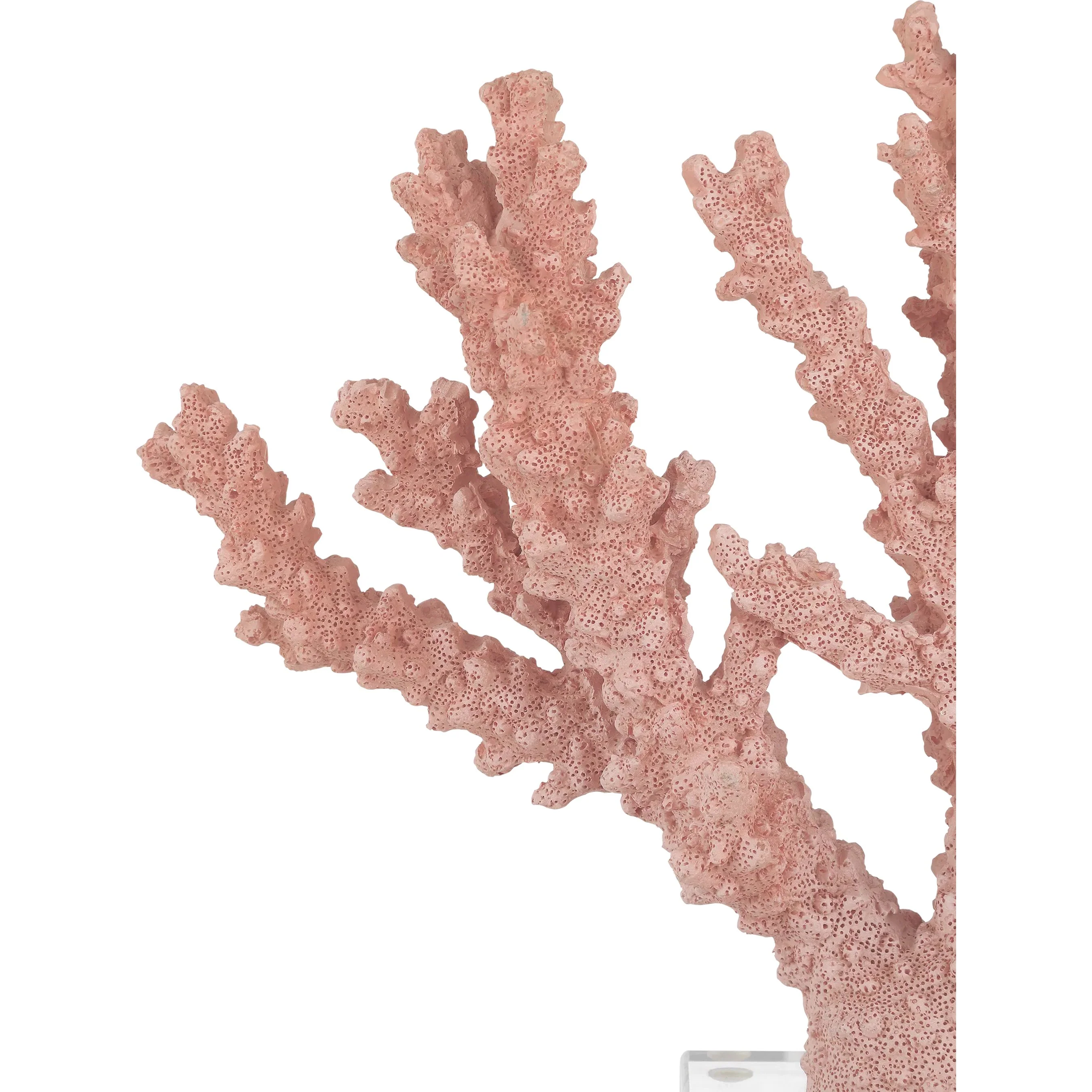 Fire Coral - Image 5