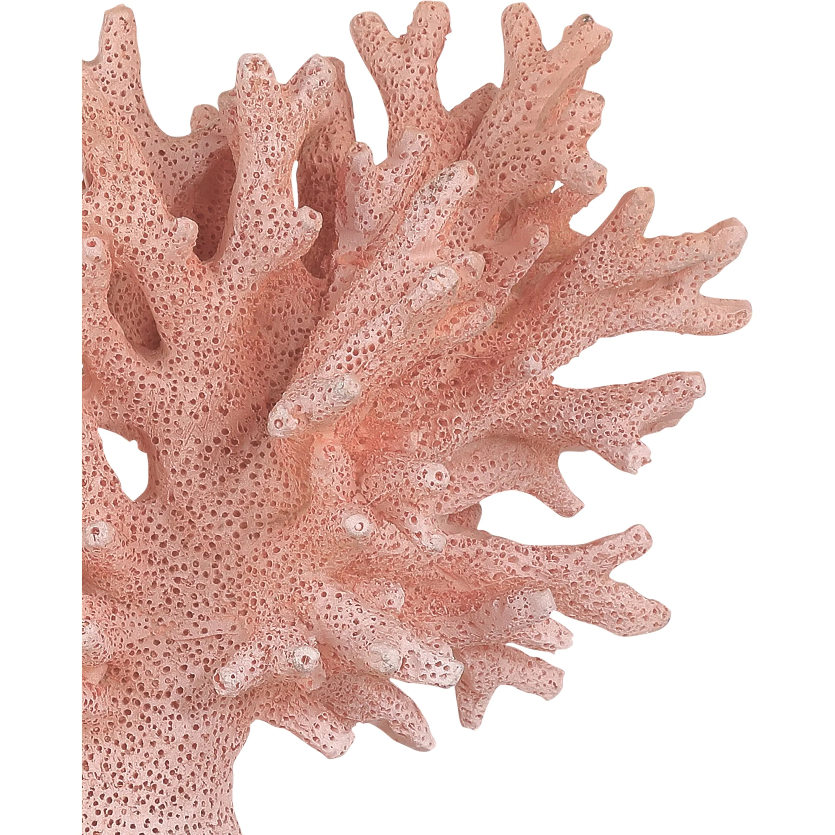 Fire Coral Set - Image 4