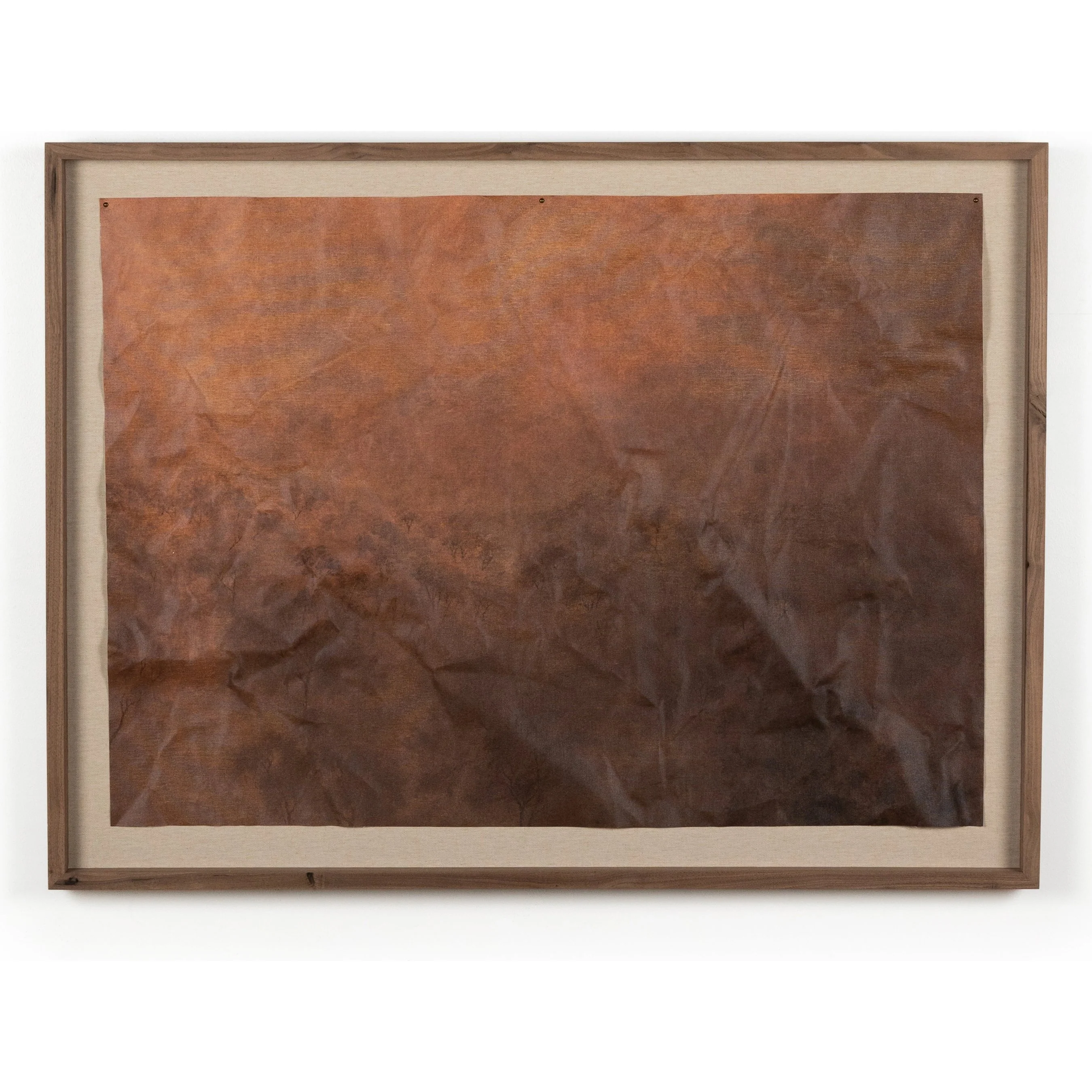 Flesh of the Earth by Aileen Fitzgerald - Image 4