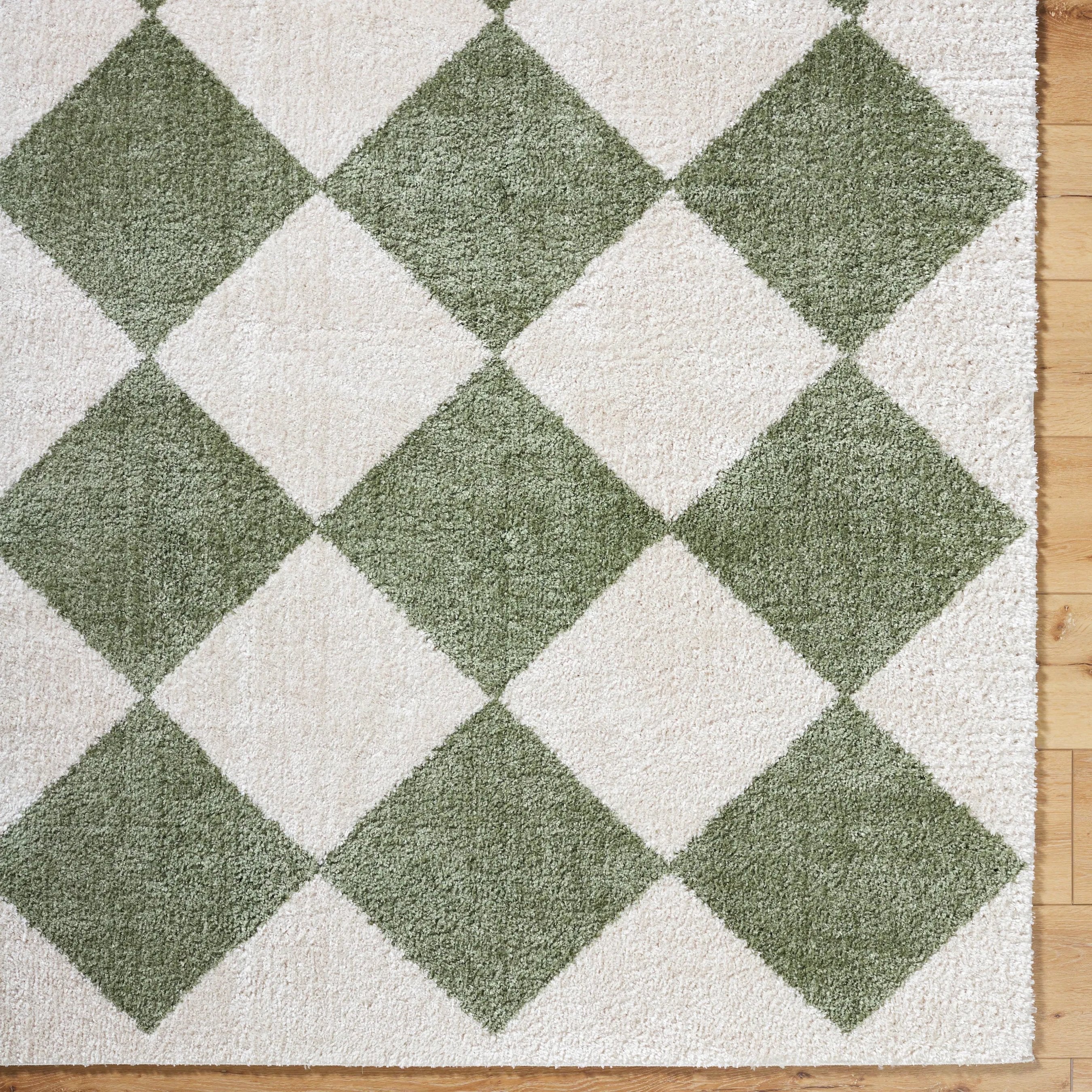 Fossay Shag FSG-2323 Rug - Image 19