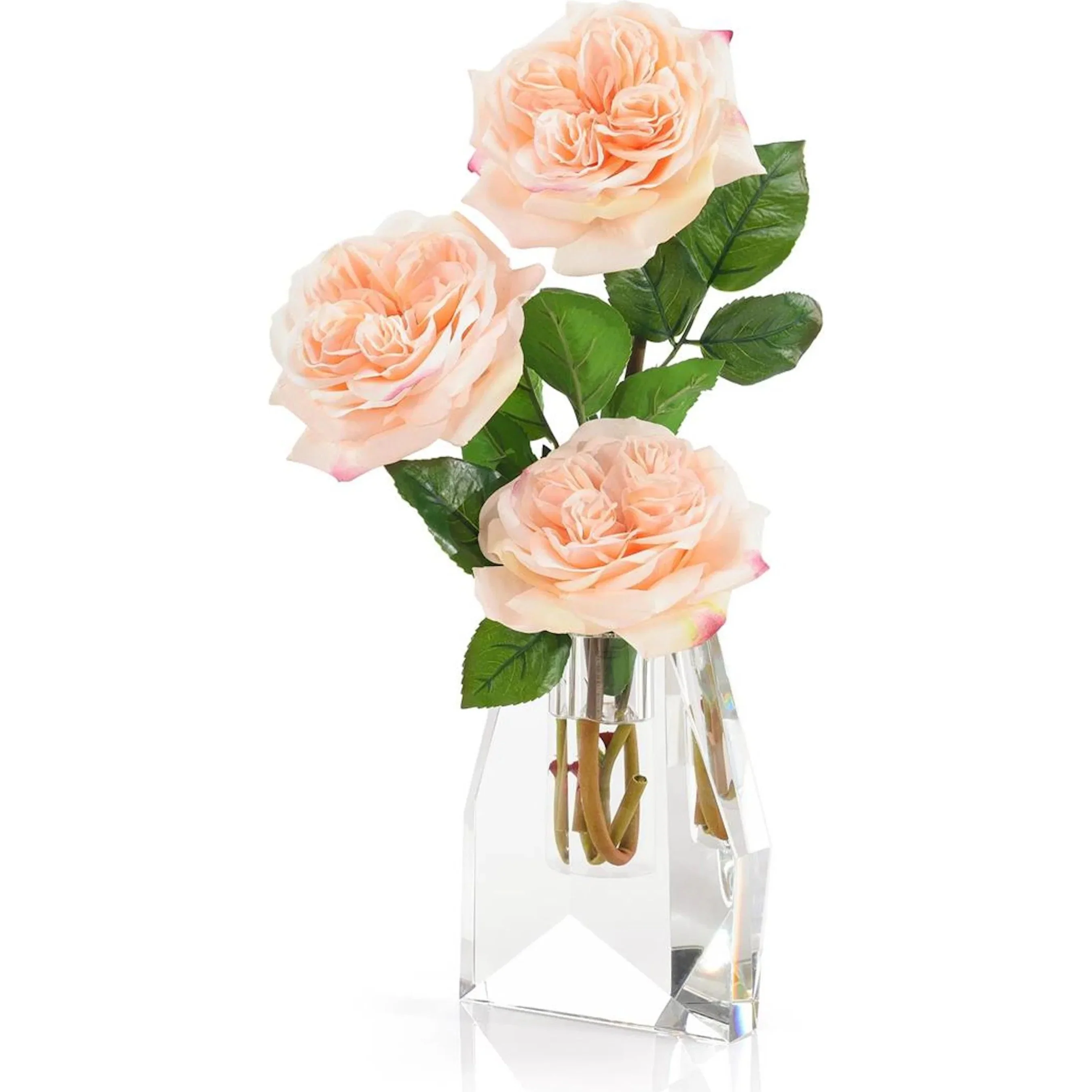 French Garden Rose - Image 2