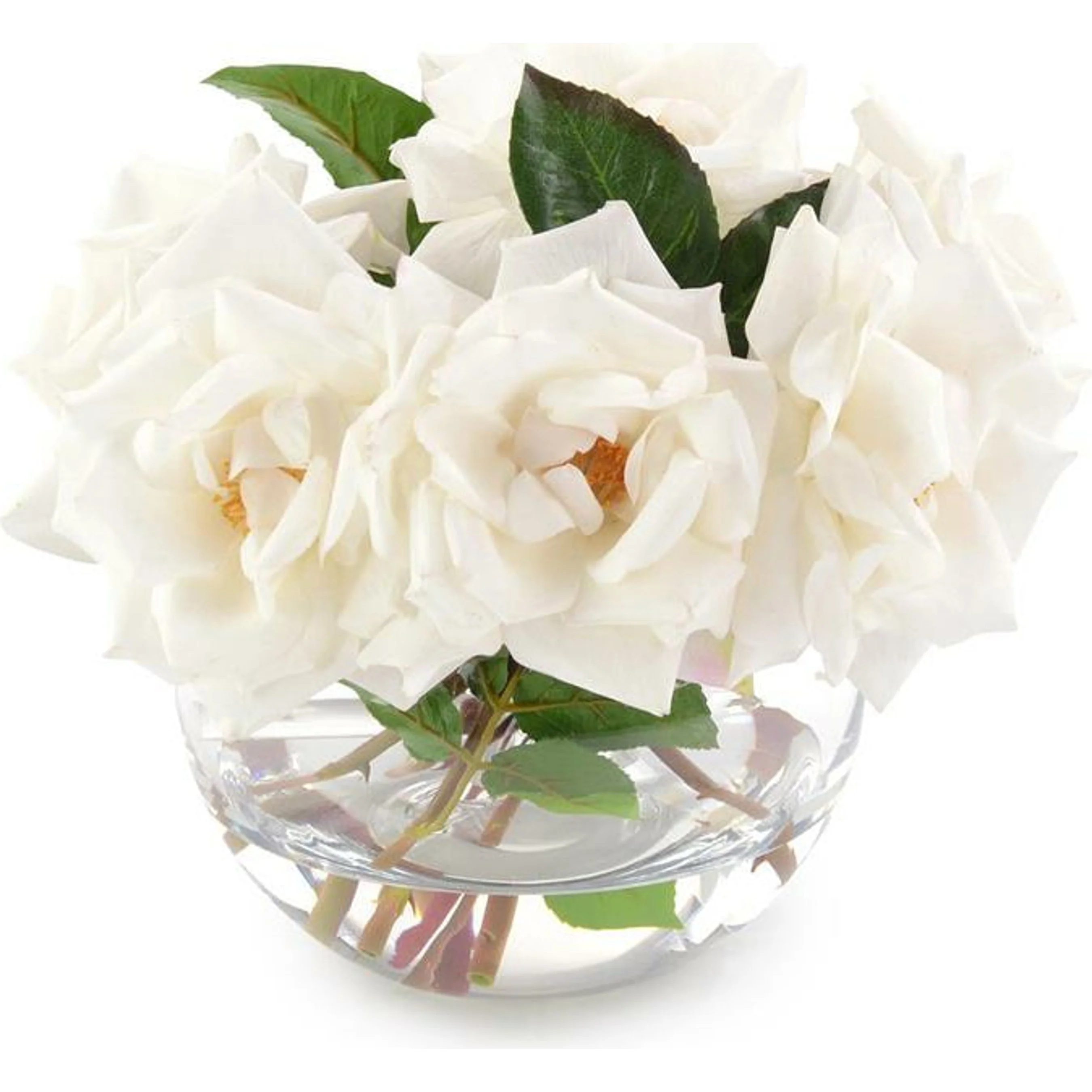 Fresh Garden Roses