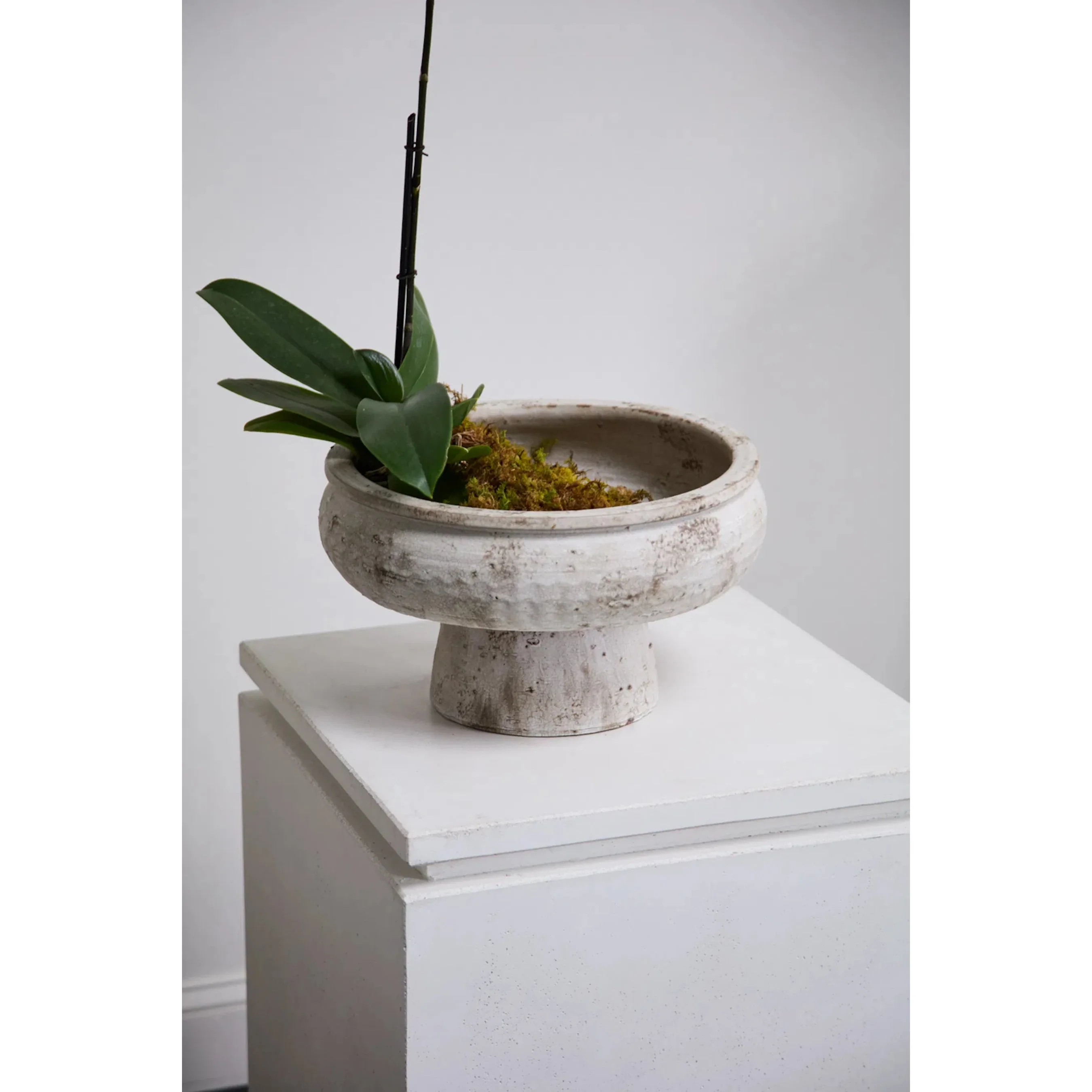 Garance Footed Bowl - Image 2